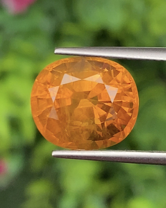 พลอย บุษราคัม yellow sapphire 9.24 กะรัต (Cts.) พร้อมใบเซอร์ พลอยแท้ อัญมณีมงคลประจําวันเกิด เครื่องประดับพลอย