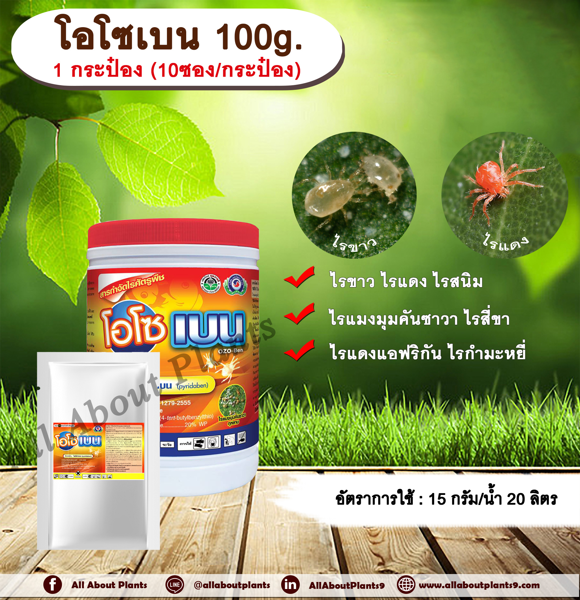 โอโซเบน 100g. 1 กระป๋อง (10ซอง/กระป๋อง) ไพริดาเบน สารกำจัดแมลง สารกำจัดไร ไรขาว ไรแดง ไรแมงมุมคันซาวา ไรแดงแอฟริกัน ไรสนิมส้ม ไรสี่ขา ไรกำมะหยี่ กำจัดไร ชิ้น