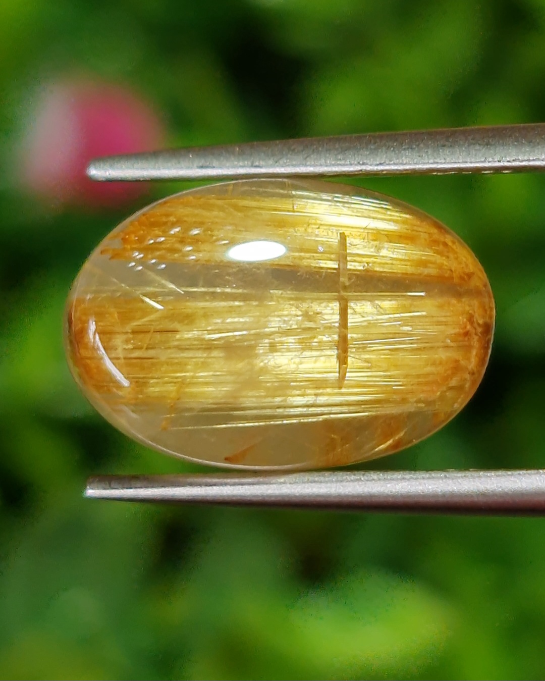 ตาแมว ไหมทอง ควอตซ์ Cat eye Golden Rutilated Quartz 6.98 กะรัต Cts.พลอยแท้ อัญมณีมงคลประจําวันเกิด เครื่องประดับพลอย