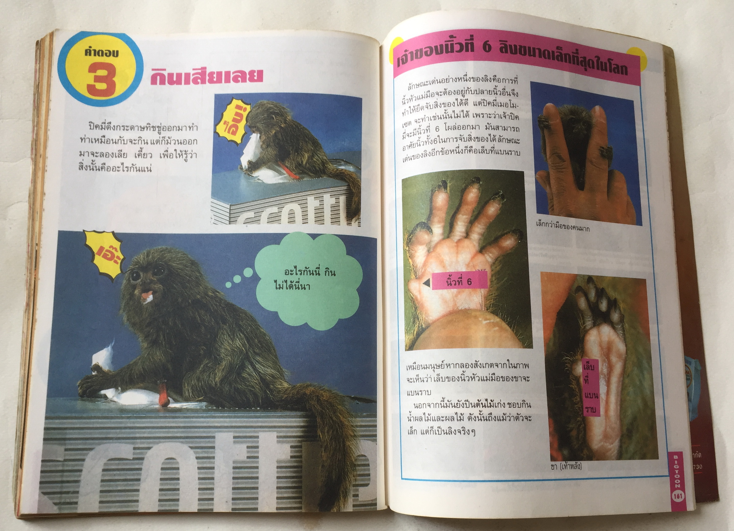 นิตยสารการ์ตูนเก่า บิ๊กตูน Bigtoon ปีที่2 ฉบับที่ 18 ประจำเดือนสิงหาคม 2535 :ความลับของ Five Star Story ,เผยเคล็ดลับการสร้างโมเดลจากญี่ปุ่น,ตำนานกันดั้ม,Battle Blaze เกมส์ยอดฮิต S.T.G