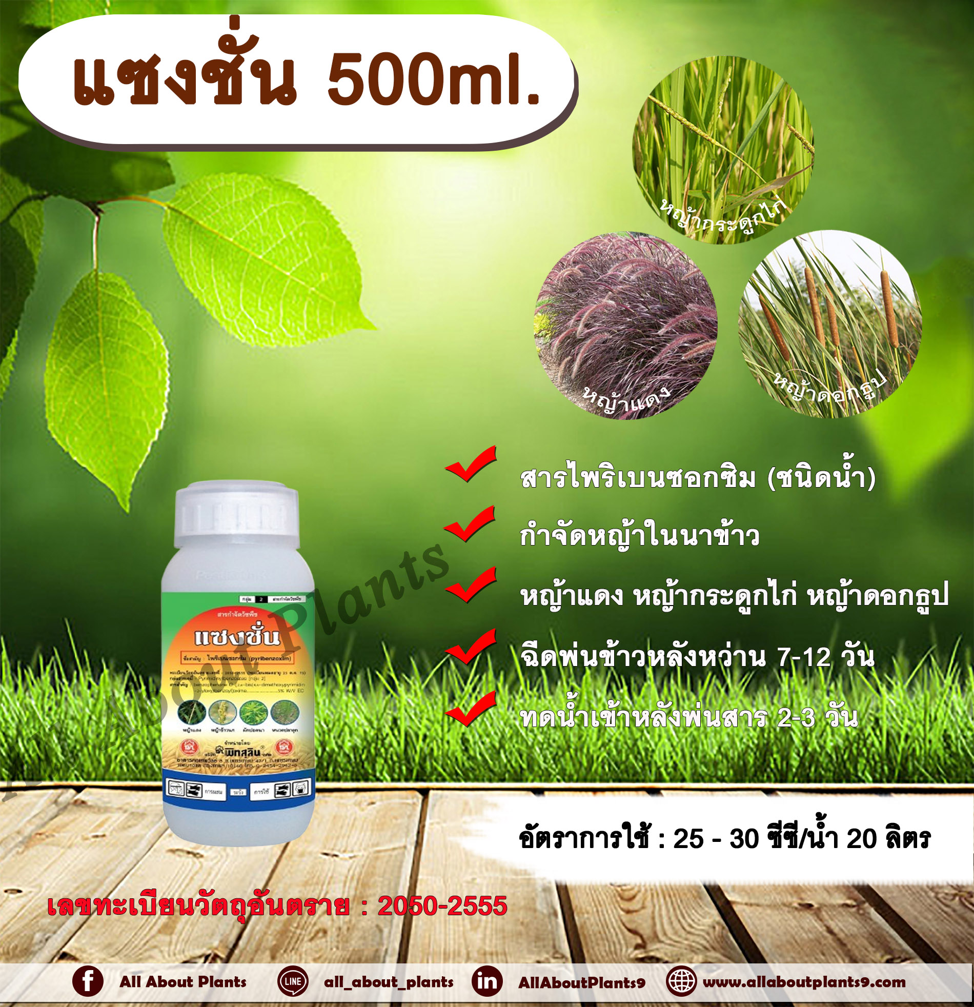 แซงชั่น 500ml. ไพริเบนโซซิม สารกำจัดวัชพืช กำจัดหญ้า ในนาข้าว กำจัดหญ้าแดง หญ้ากระดูกไก่ หญ้าดอกธูป หญ้าดอกต่อ หญ้าเดือย สำเนา ขวด