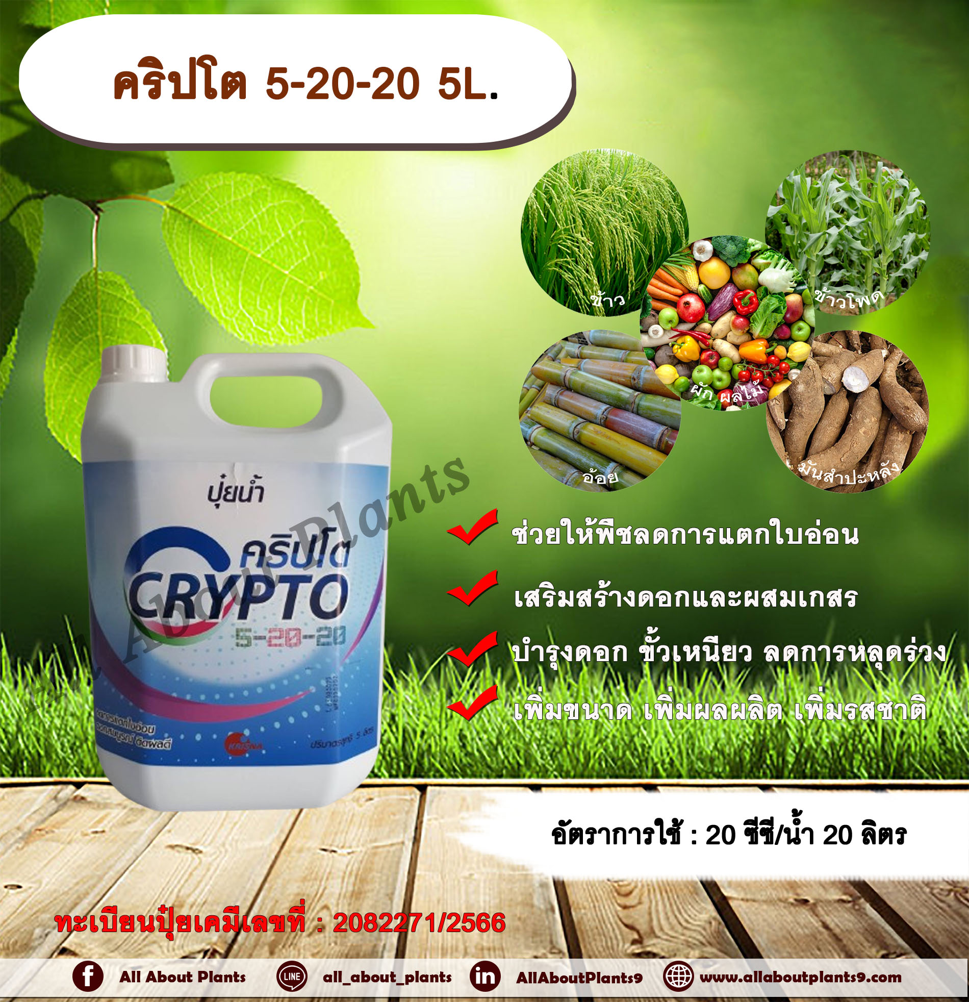 คริปโต 5-20-20 5L. ช่วยให้พืชลดการแตกใบอ่อน เสริมสร้างดอก ผสมเกสร บำรุงดอก ขั้วเหนียว ลดการหลุดร่วงเพิ่มขนาด เพิ่มผลผลิต เพิ่มรสชาติ ปุ๋ยน้ำ ฮอร์โมนพืช ปุ๋ยNPK ปุ๋ยน้ำNPK กระติก