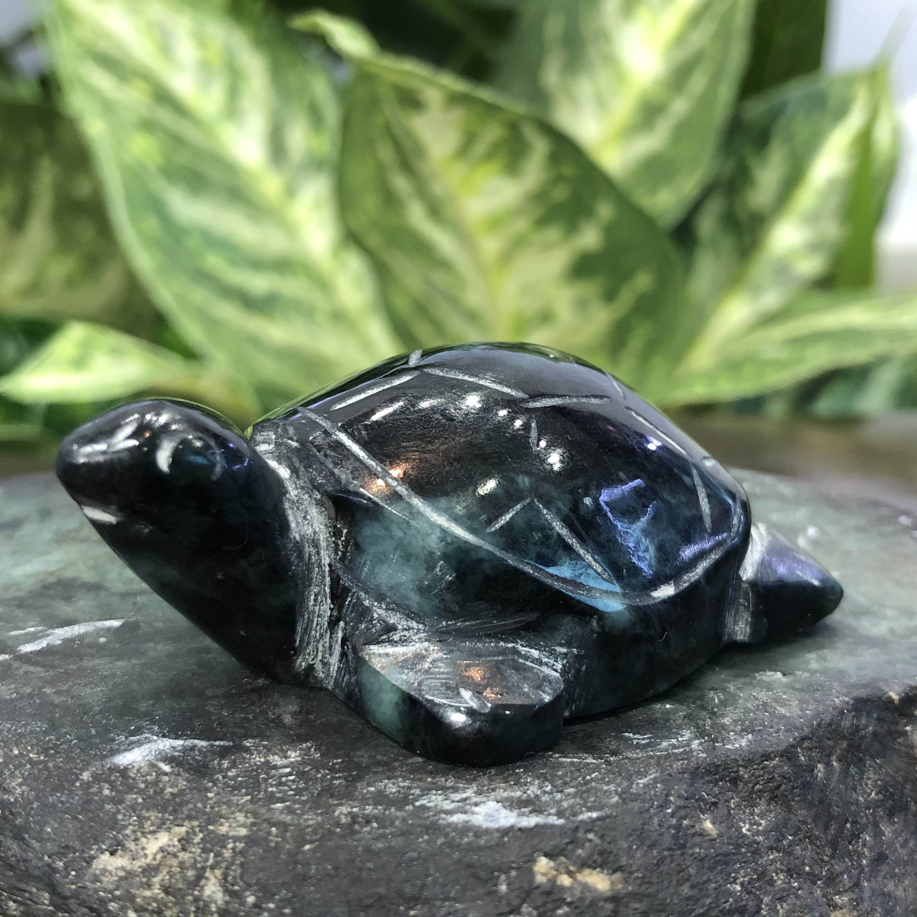 หยกแกะสลัก เต่า หยก พม่า แท้ (Burmese jadeite)
