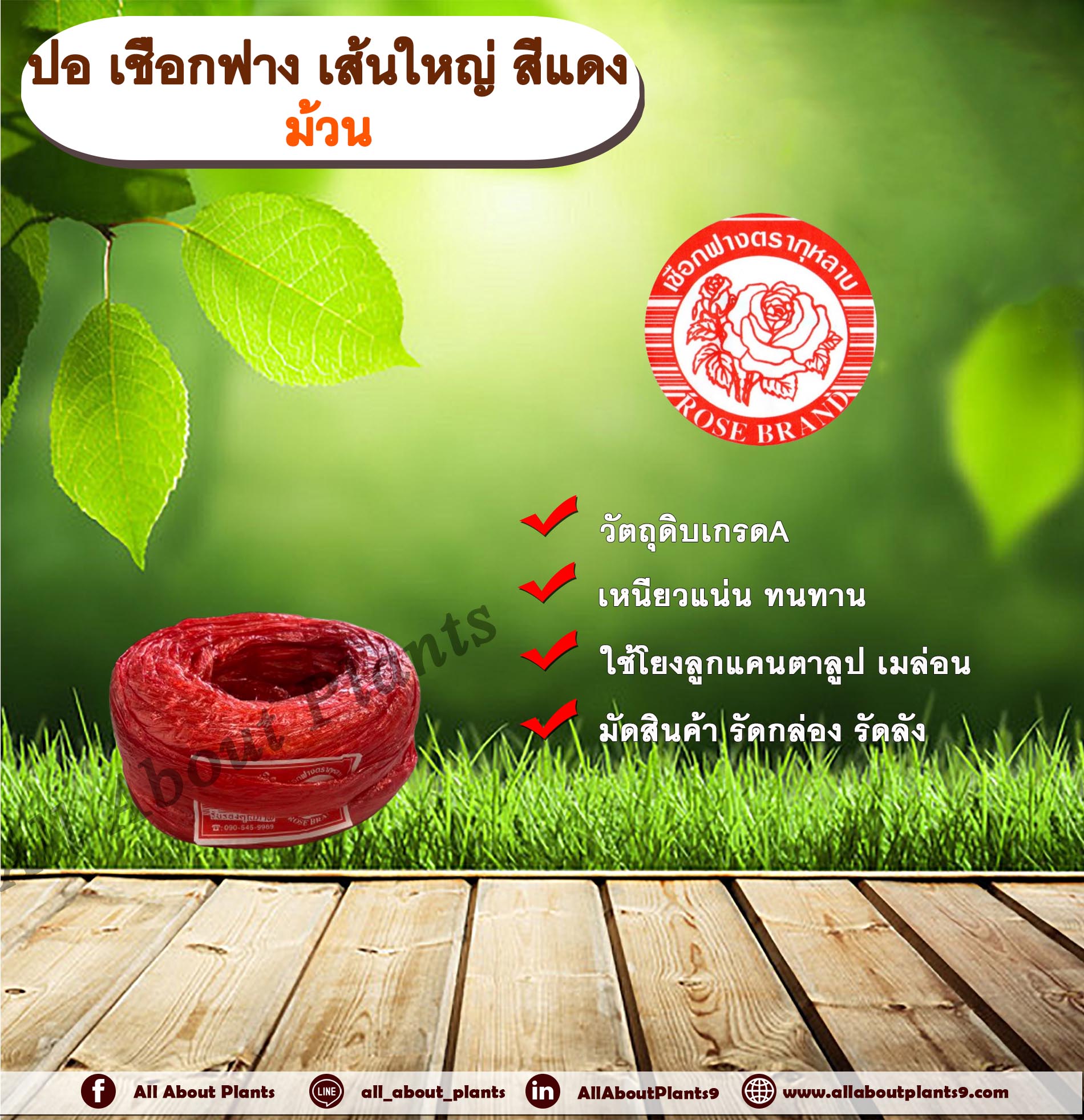 ปอ เชือกฟาง เส้นใหญ่ ตรากุหลาบ สีแดง (ม้วน) ปอกุหลาบเส้นใหญ่ เชือกฟางเส้นใหญ่ ใช้โยงลูกแคนตาลูป เมล่อน มัดสินค้า มัดกล่อง มัดลัง ม้วน