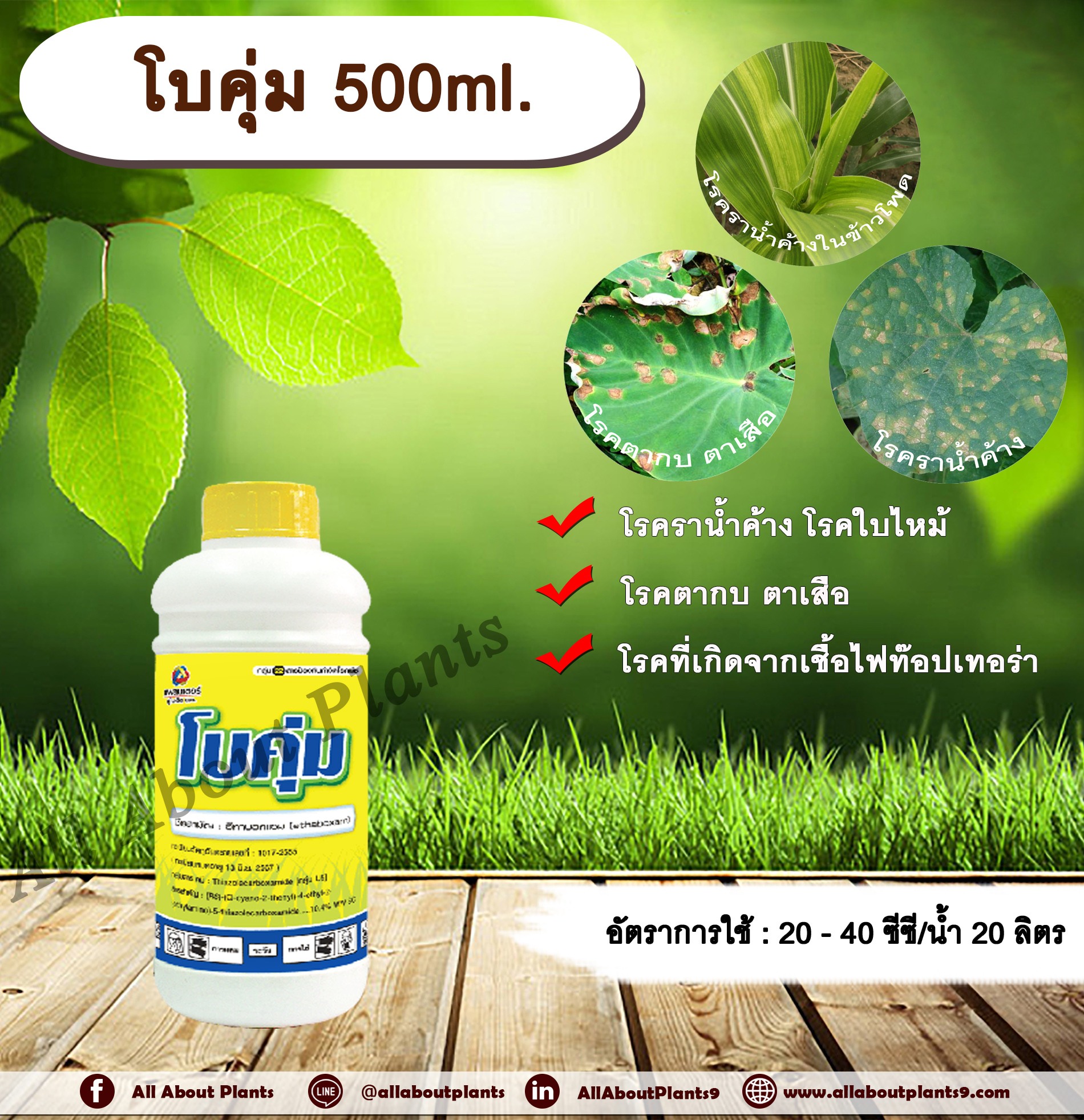 โบคุ่ม 500ml. อีทาบอกแซม สารกำจัดเชื้อรา ป้องกันเชื้อรา โรคราน้ำค้าง โรคตากบตาเสือ โรคไฟท๊อปเทอร่า โรคใบไหม้ allaboutplants ขวด