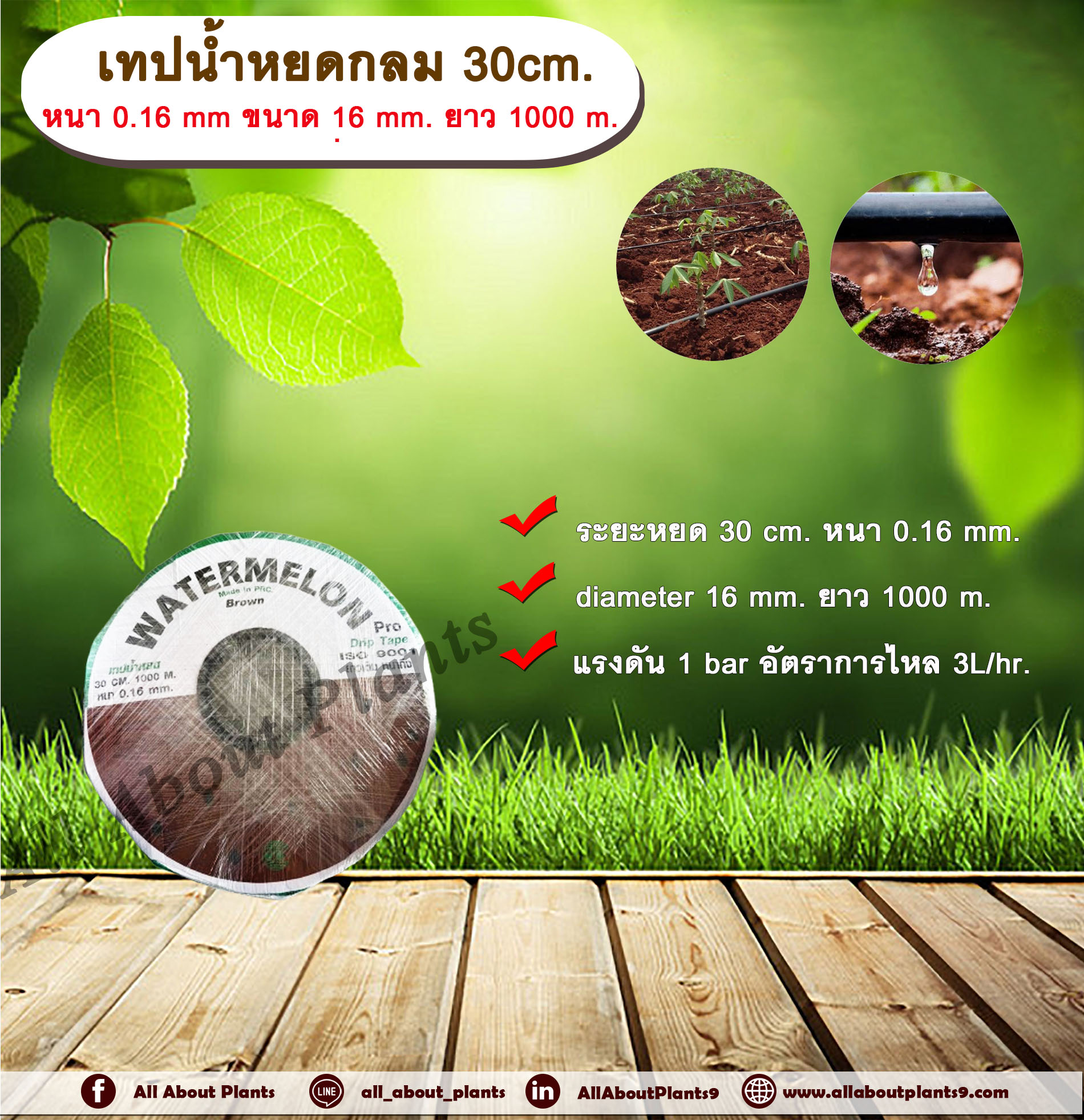เทปน้ำหยด 30 cm. หนา 0.16 mm ขนาด 16 mm. ยาว 1000 m. ตราแตงโมน้ำตาล เทปน้ำหยด สายน้ำหยด แบบกลม แบบกิ๊ป ระยะห่างรู 30 cm. หนา 0.16 mm. ยาว 1000 m. Drip Tape ม้วน