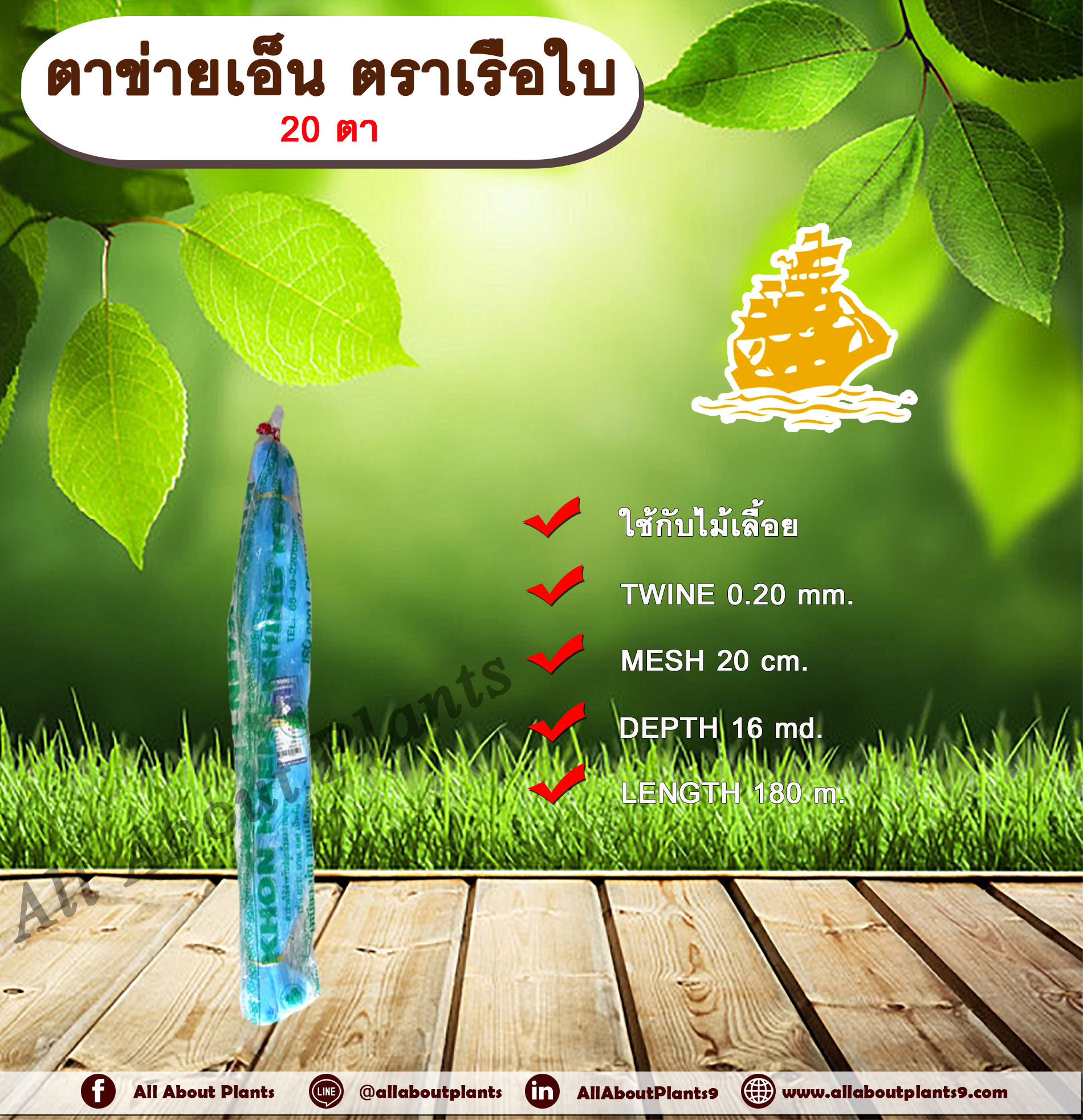 ตาข่ายเอ็น ตราเรือใบ 20 ตา ตาข่ายแตง ขึงแตง เอ็นขึงแตง ค้างแตง ค้างบวบ มะระ บวบ ถั่วฝักยาว ปลูกพืชไม้เลื้อย พืชผักต่างๆ เอ็นเรือใบ allaboutplants ชิ้น
