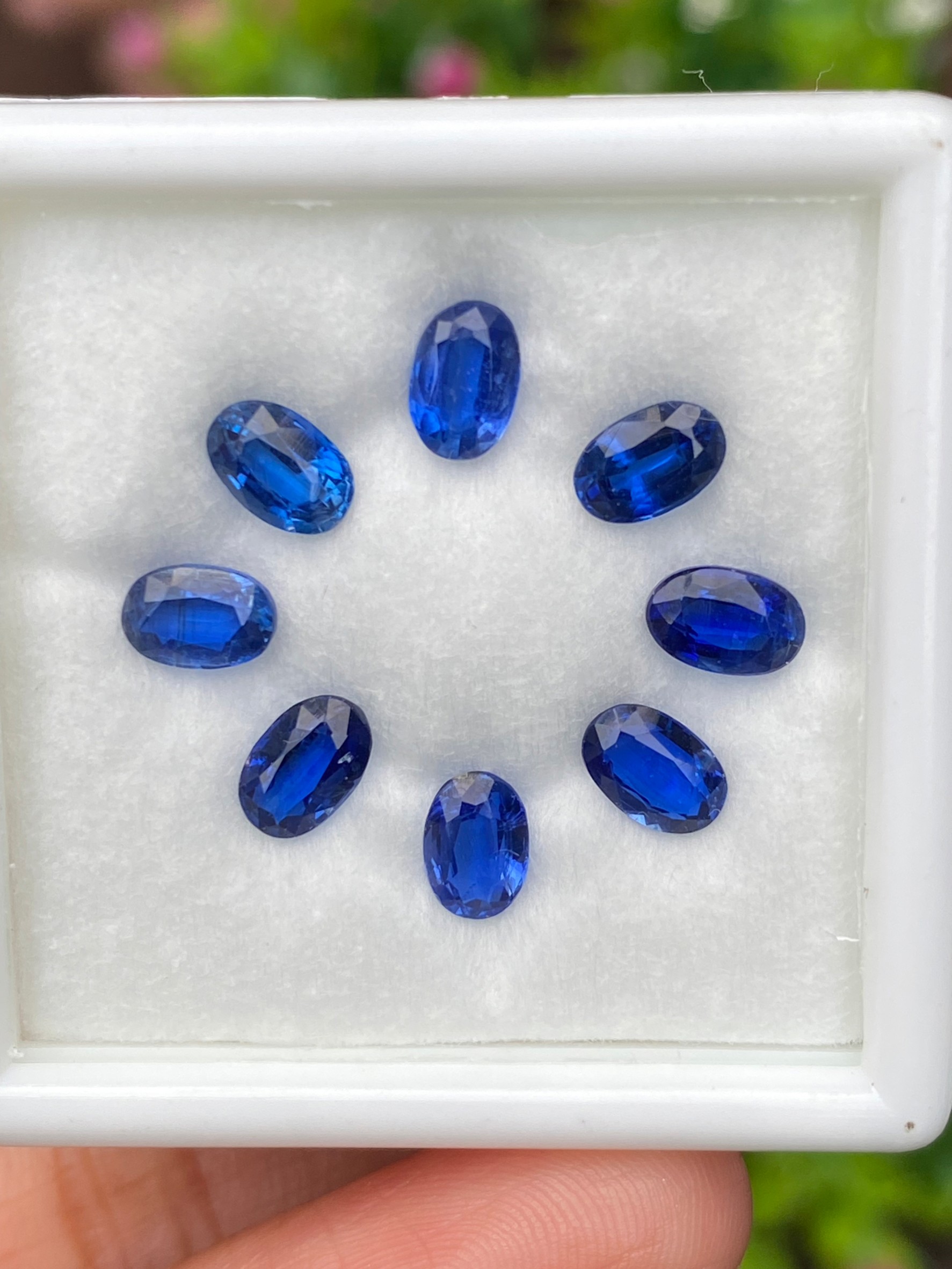 พลอย ไคยาไนต์ Kyanite 4.56 กะรัต (Cts.) 8 เม็ด พลอยแท้ อัญมณีมงคลประจําวันเกิด เครื่องประดับพลอย