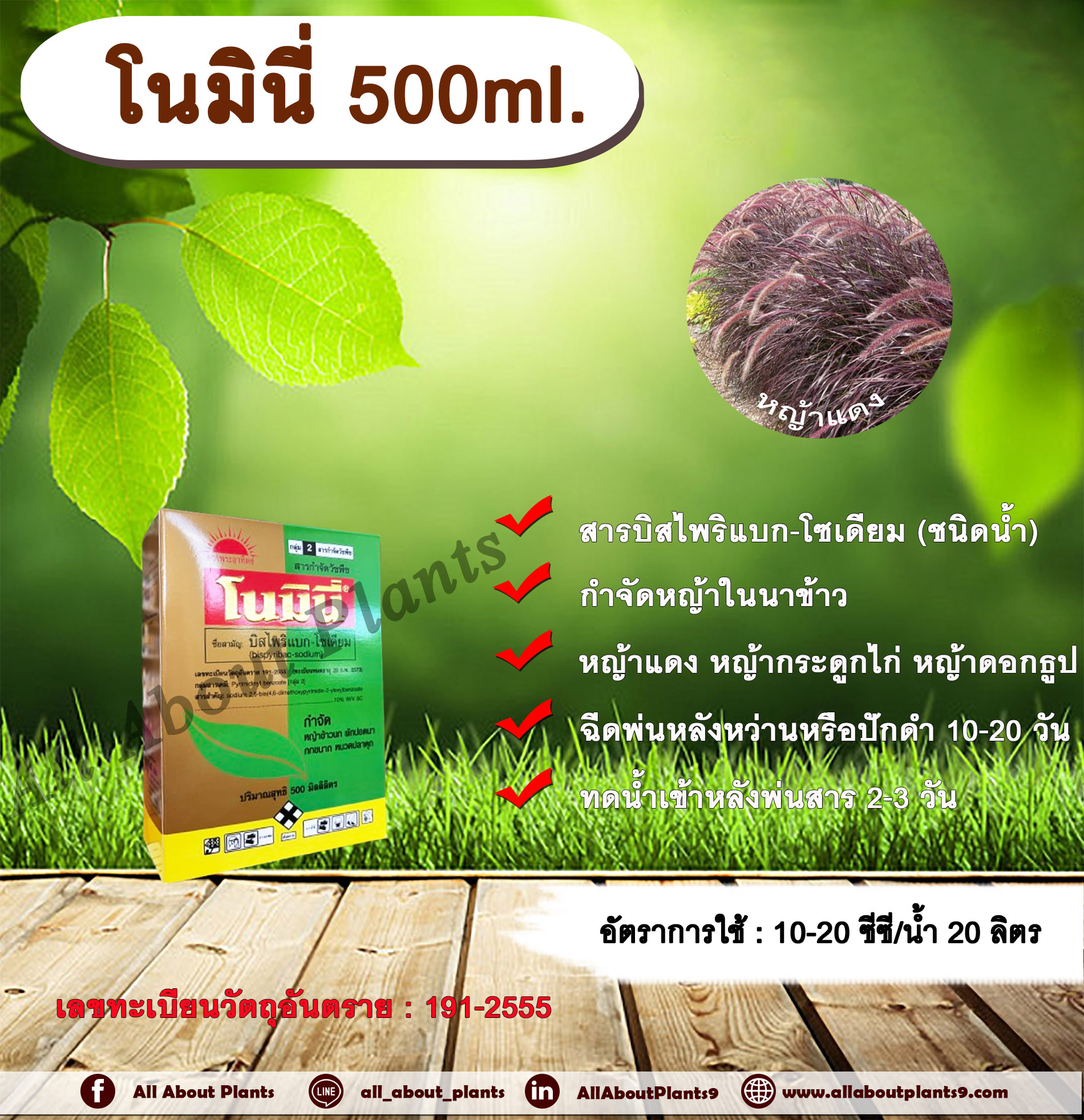 โนมินี่ + ซันบินเดอร์ 500ml. + 500ml. บิสไพริแบกโซเดียม สารกำจัดวัชพืช กำจัดหญ้า ในนาข้าว กำจัดหญ้าแดง หญ้ากระดูกไก่ หญ้าดอกธูป หญ้าดอกต่อ หญ้าเดือย allaboutplants ชิ้น