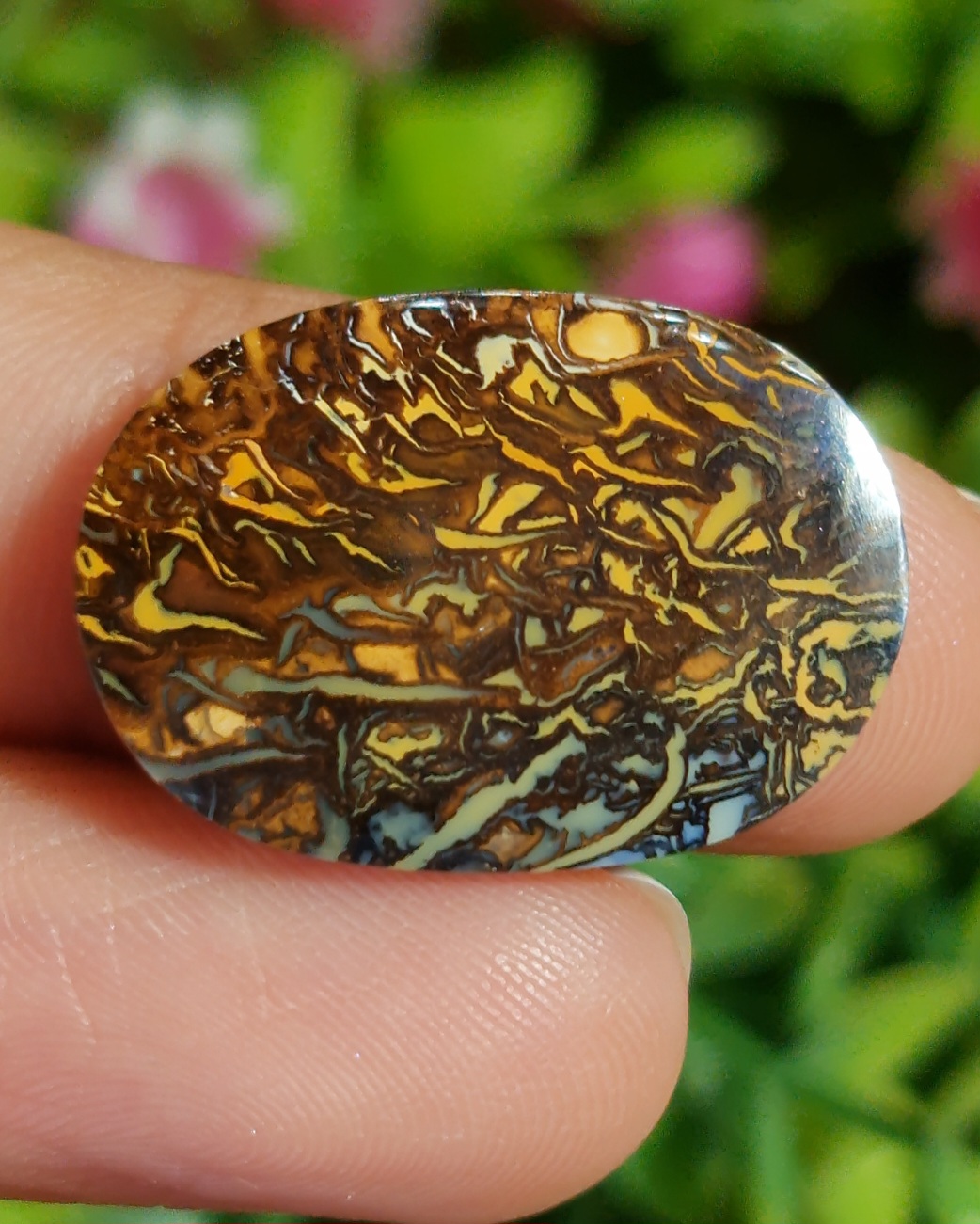 พลอย โบลเดอร์ โอปอล ออสเตรเลีย Australian Boulder Opal 13.50 กะรัต (Cts.) พลอยแท้ อัญมณีมงคลประจําวันเกิด เครื่องประดับพลอย