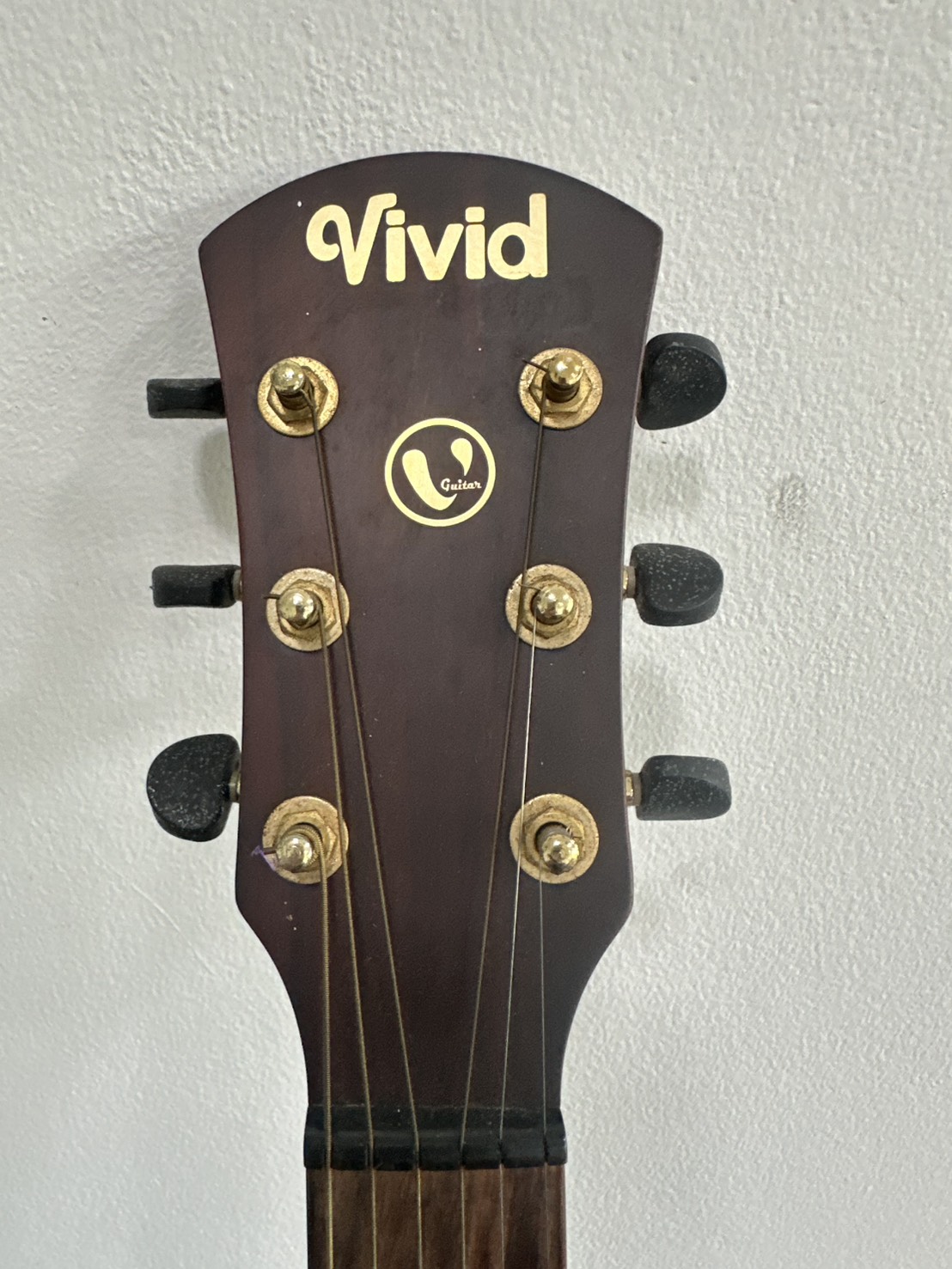 Guitar กีตาร์โปร่ง Vivid รุ่น V-22/BKM