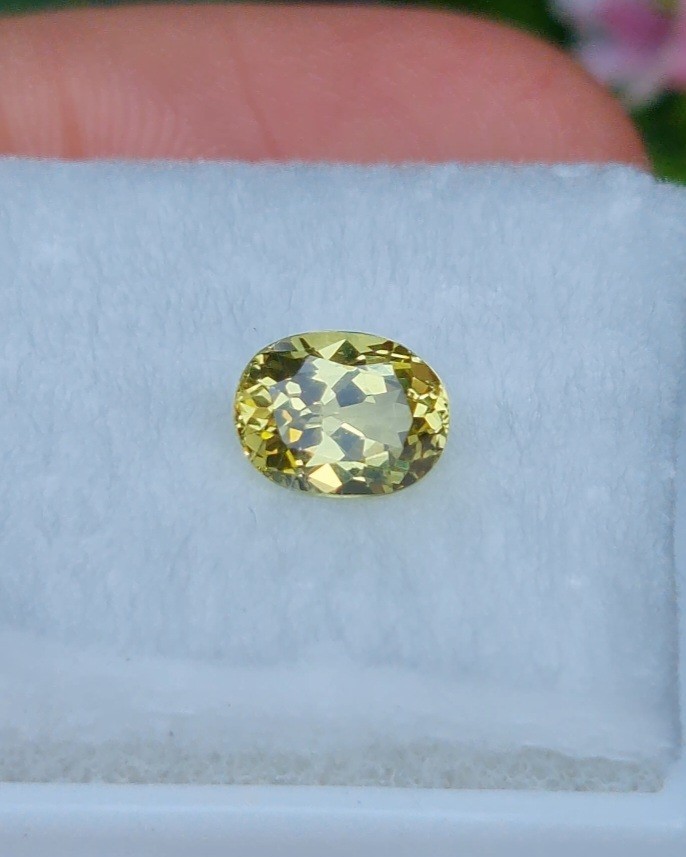 พลอย คริโซเบริล (Chrysoberyl) 1.13 กะรัต (Cts.) พลอยแท้ อัญมณีมงคลประจําวันเกิด เครื่องประดับพลอย