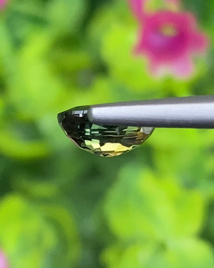 พลอย ลักษณะพิเศษ 2 สี Spacific Bi-Color Sapphire 1.41 กะรัต (Cts.) พร้อมใบเซอร์ พลอยแท้ อัญมณีมงคลประจําวันเกิด เครื่องประดับพลอย