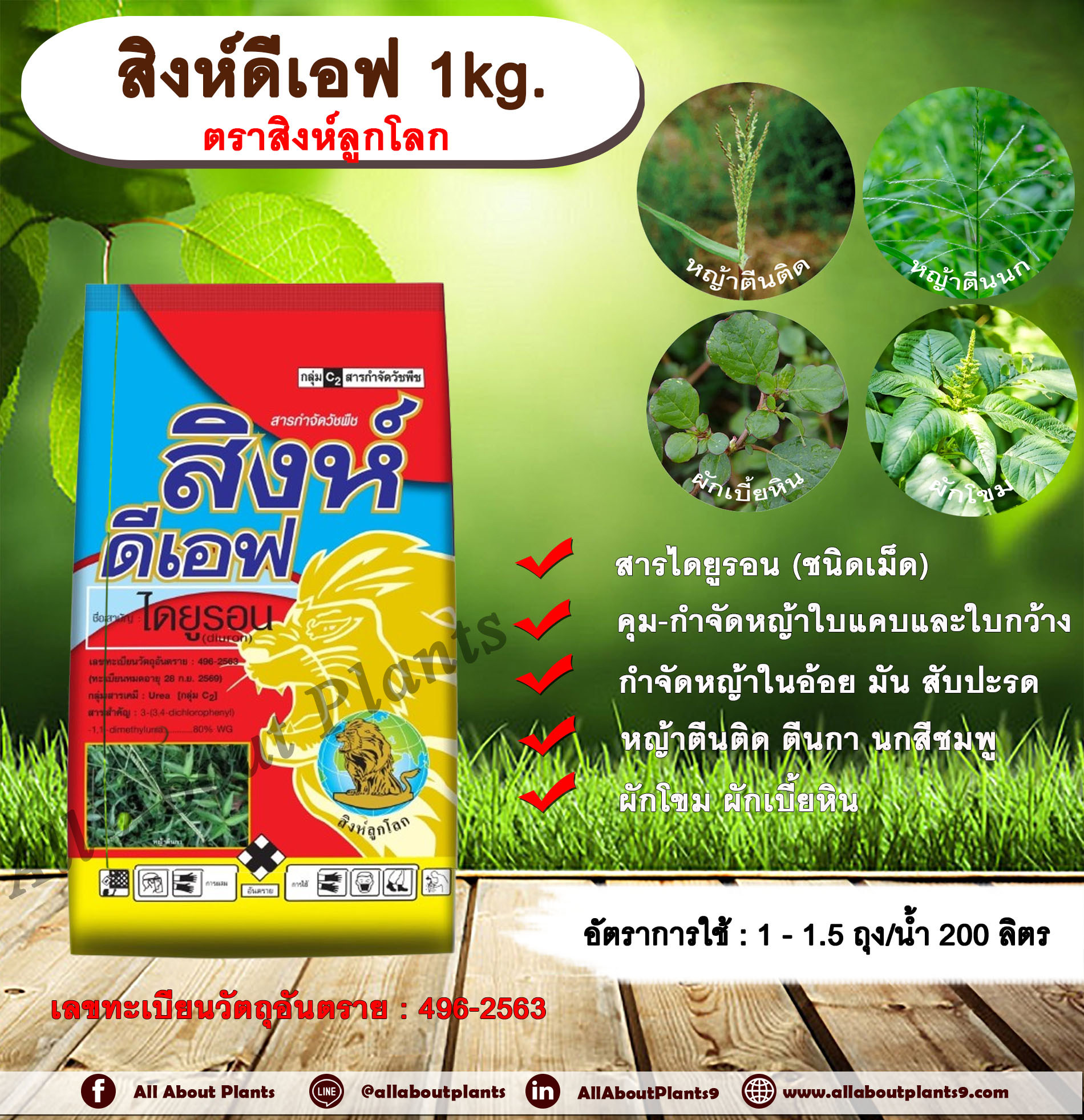 สิงห์ดีเอฟ 1kg. ตราสิงห์ลูกโลก ไดยูรอน สารคุมและกำจัดวัชพืช ใบแคบและใบกว้าง แบบดูดซึม ชนิดเม็ด คุมและกำจัดหญ้าใบแคบและใบ ถุง