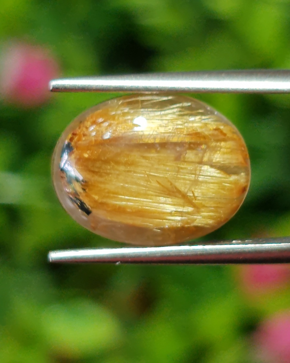 ตาแมว ไหมทอง ควอตซ์ Cat eye Golden Rutilated Quartz 6.29 กะรัต Cts.พลอยแท้ อัญมณีมงคลประจําวันเกิด เครื่องประดับพลอย