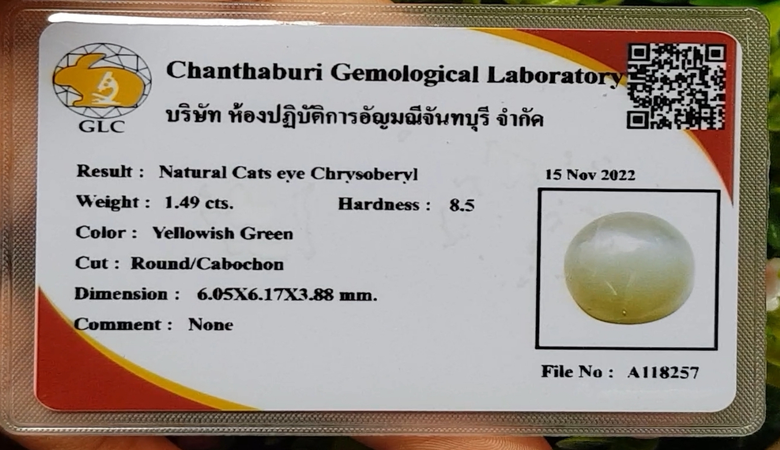พลอย ตาแมว คริโซเบริล Cat eye Chrysoberyl 1.49 กะรัต (Cts.) พร้อมใบเซอร์ พลอยแท้ อัญมณีมงคลประจําวันเกิด เครื่องประดับพลอย