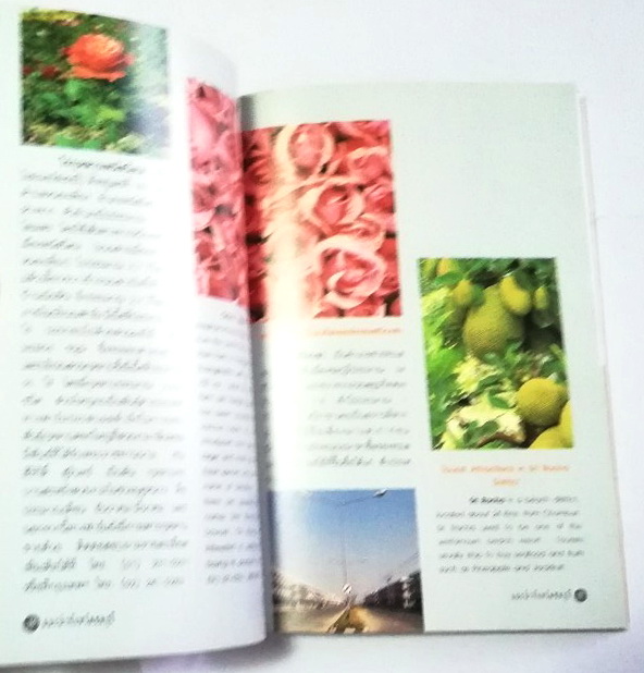 หนังสือท่องเที่ยว จังหวัด ชลบุรี ,ทะเลงาม ข้าวหลามอร่อย อ้อยหวาน จักรสานดี ประเพณีวิ่งควาย ภาพสีทั้งเล่ม