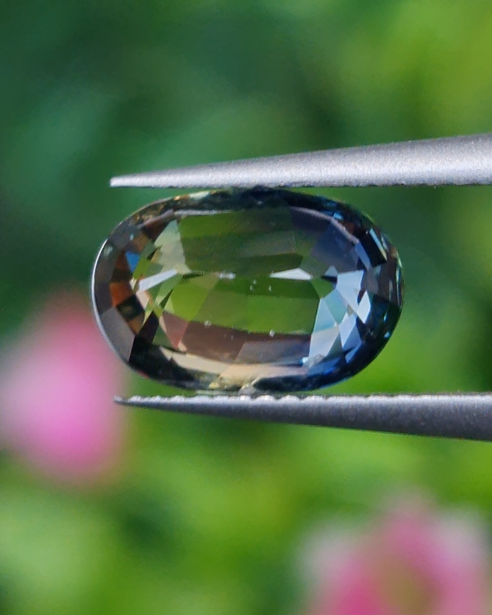 พลอย แซฟไฟร์ 2 สี Bi-Color Sapphire 2.05 กะรัต (Cts.) พลอยแท้ อัญมณีมงคลประจําวันเกิด เครื่องประดับพลอย