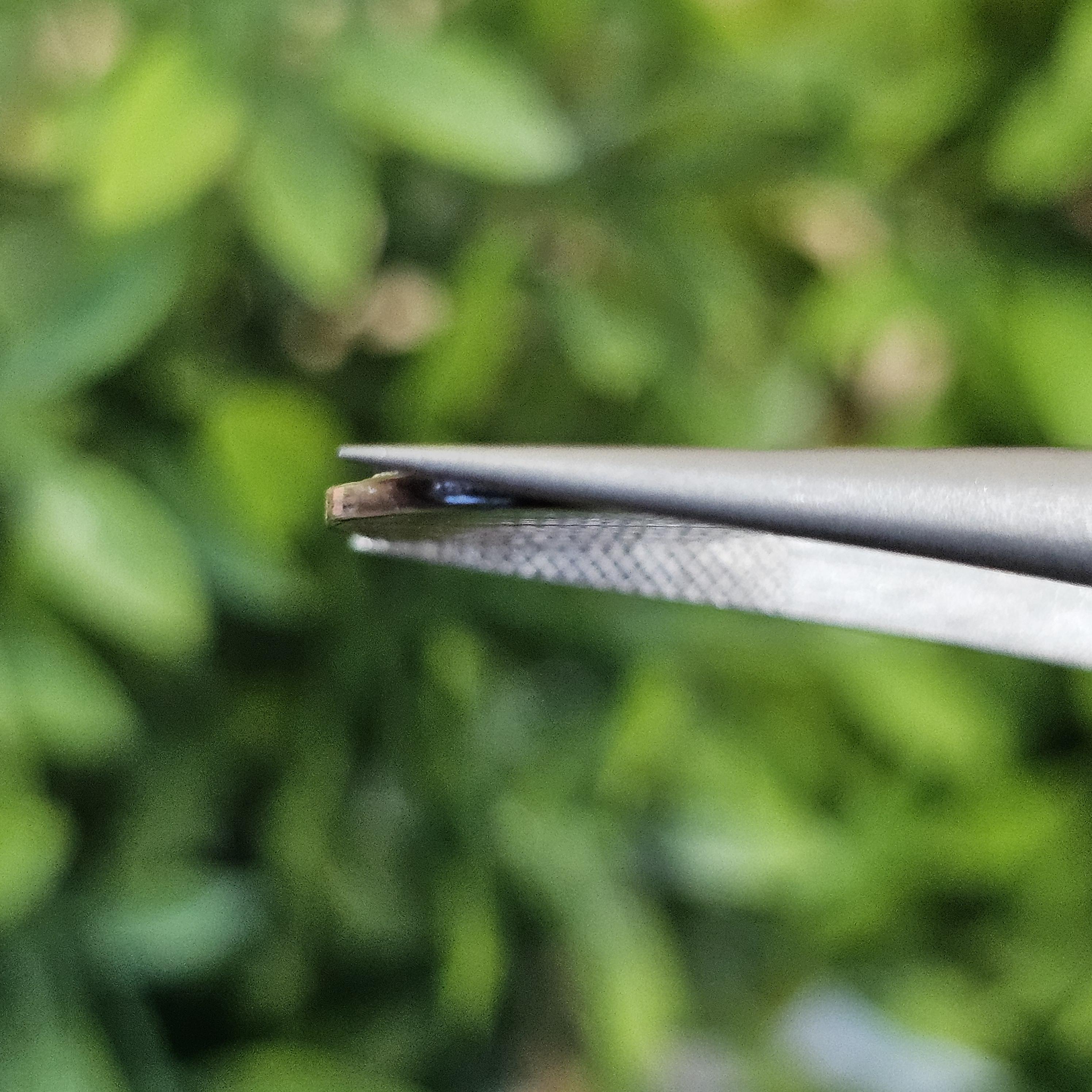 เปลือกหอยมุก แกะสลัก Pearl Shell Carved 3.07 กะรัต (Cts.)