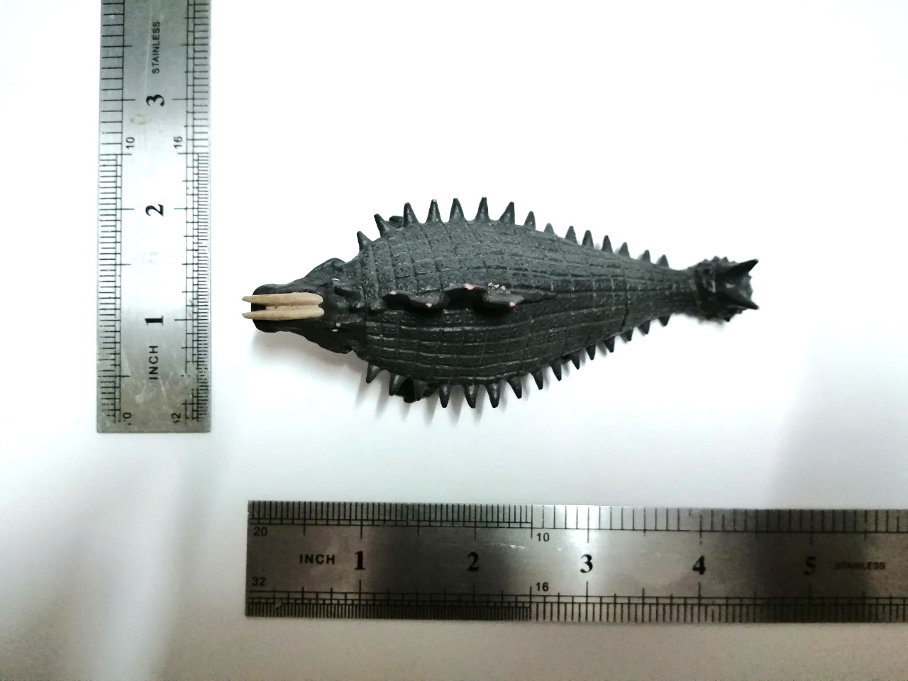 กาชาปอง สัตว์ประหลาด สกายดอน จากอุลตร้าแมน1966 ขนาดราว 4 นิ้ว ไม่หัก ไม่กาว ไม่เหนียว Gashapon Monster Skydon from Ultraman