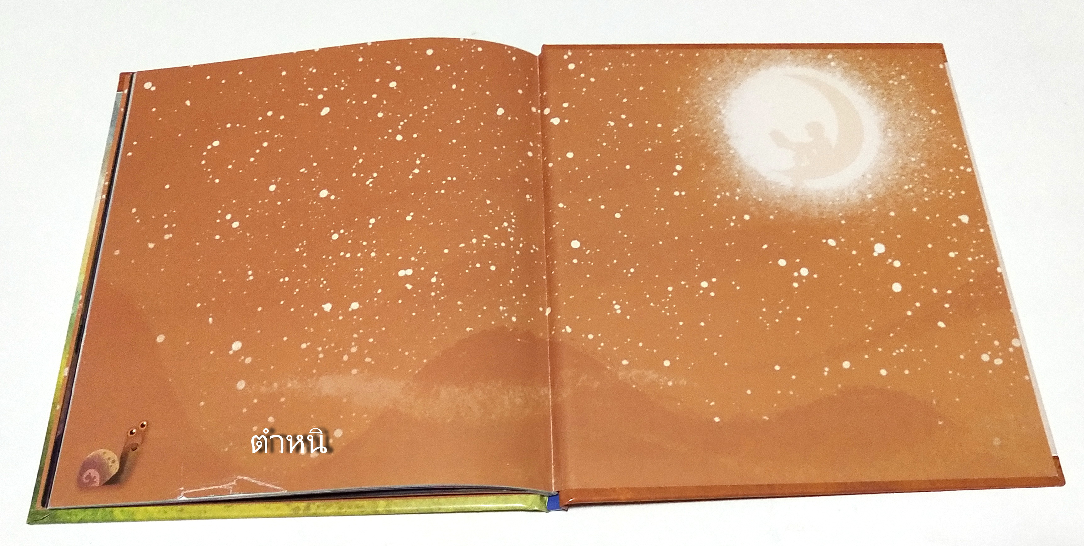 หนังสือนิทานฉบับภาษาอังกฤษ **หน้าสุดท้ายด้านล่างมีรอยขาด ตามภาพ A pocket full of dream 'SHREK',Dreamworks -A Glow in the Dark Surprise Poor Shrek just wants to live peacefully his swamp, but a kingdom of fairy tale creatures has arrived uninvite