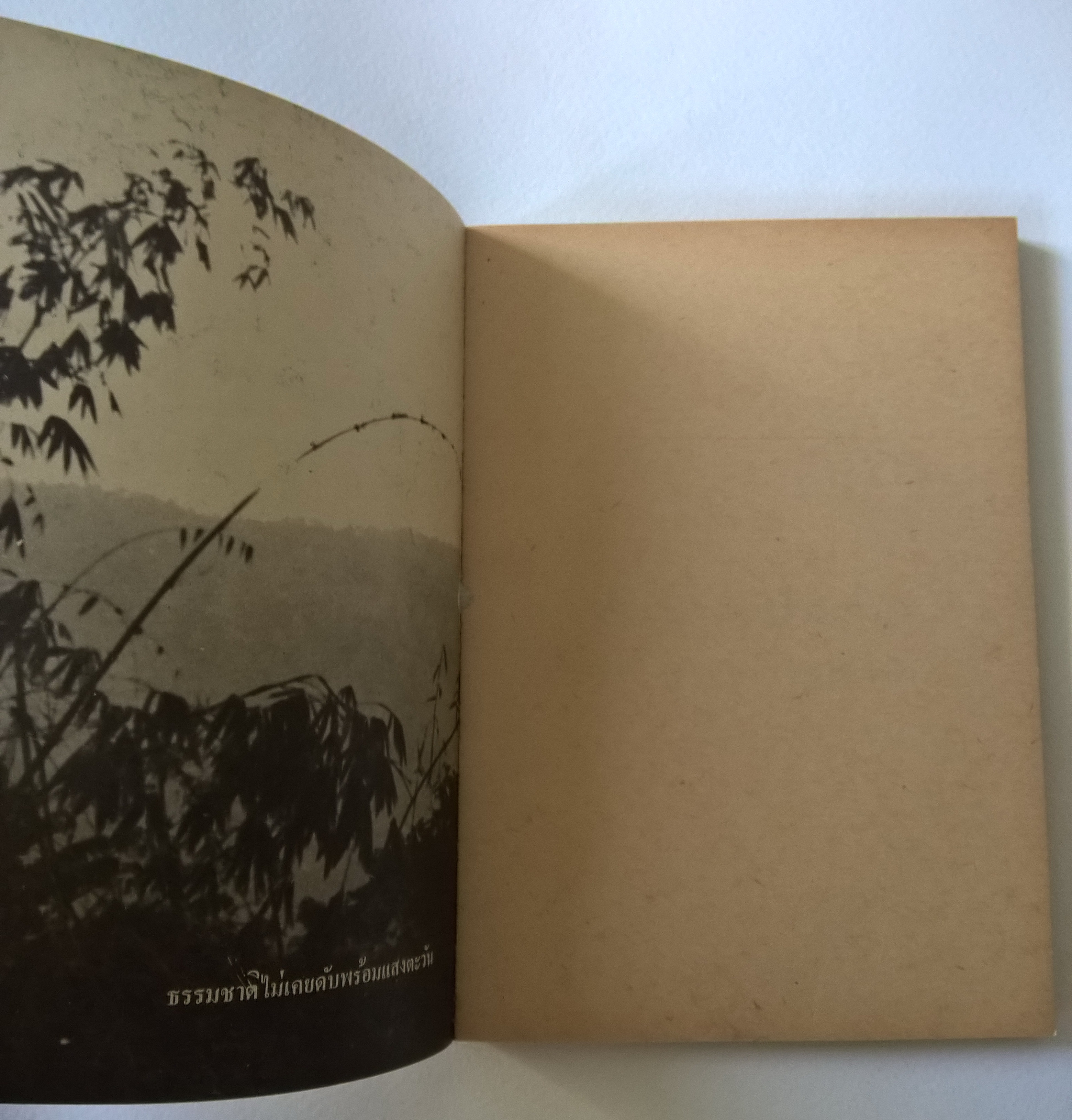 หนังสือปีเก่า "สัตว์สวยป่างาม" โดย ชมรมนิเวศน์วิทยามหาวิทยาลัยมหิดล พิมพ์ครั้งที่ 2 สิงหาคม 2513