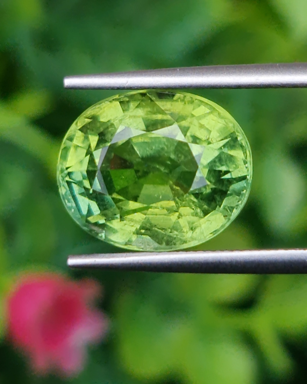 พลอย กรีน ทัวร์มารีน (Green Tourmaline) 6.80 กะรัต (Cts.) อัญมณีมงคลประจําวันเกิด เครื่องประดับพลอย