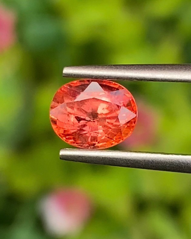 พลอย ออเรนจ์ แซฟไฟร์ Orange Sapphire 1.29 กะรัต (Cts.) พลอยแท้ อัญมณีมงคลประจําวันเกิด เครื่องประดับพลอย