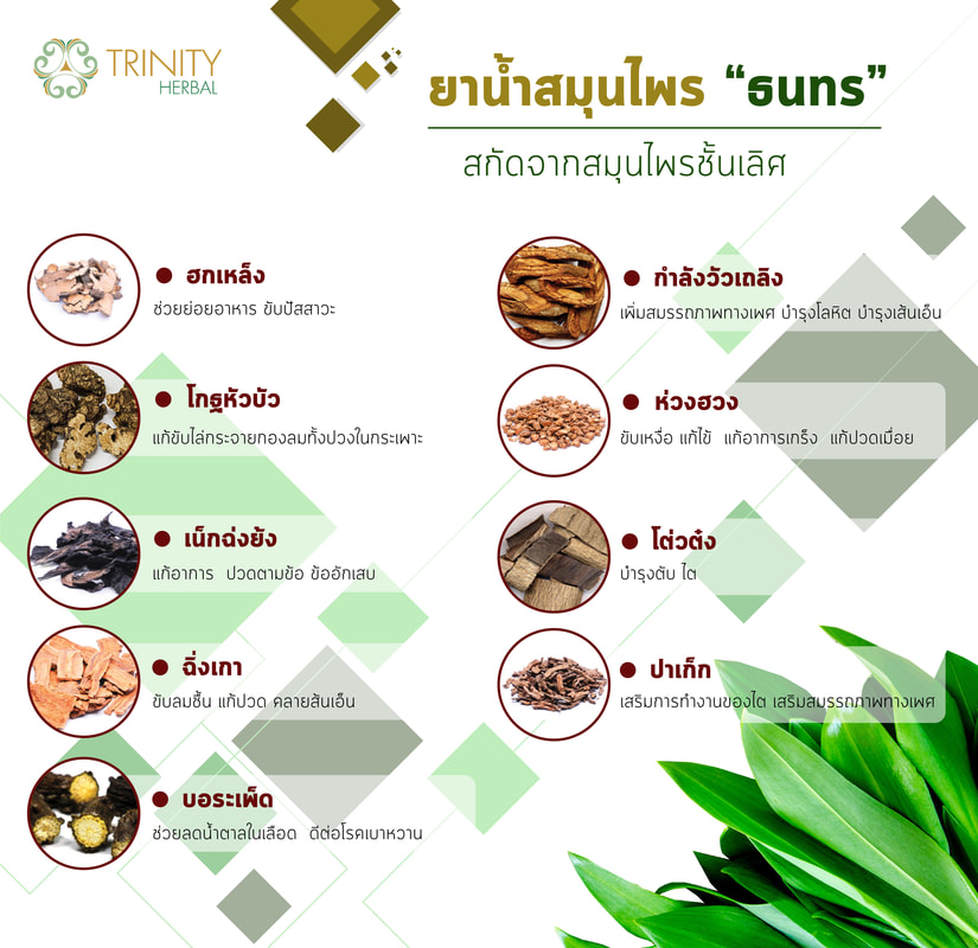 ธนทร มีส่วนผสมของเห็ดหลินจือ