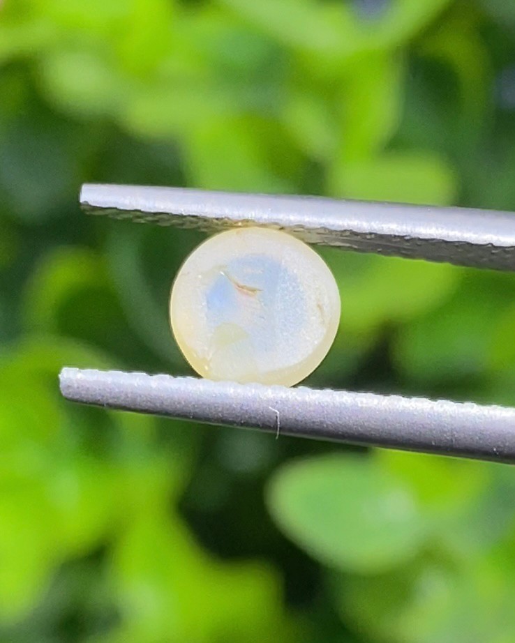 พลอย ตาแมว คริโซเบริล Cat eye Chrysoberyl 1.00 กะรัต (Cts.) พลอยแท้ อัญมณีมงคลประจําวันเกิด เครื่องประดับพลอย