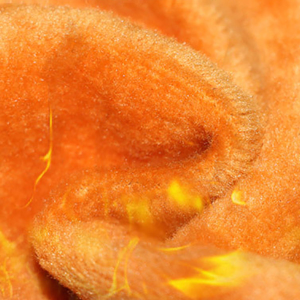 กางเกงยีนส์กันหนาวเอวสูง ทรงสลิม ซับกำมะหยี่ใส่ติดลบได้ (11692X)