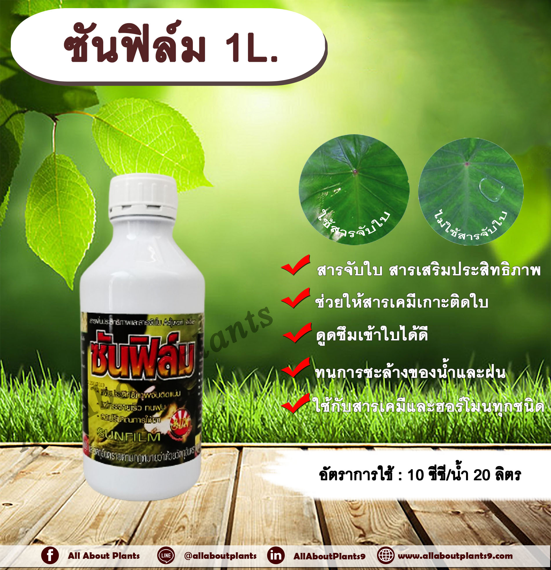 ซันฟิล์ม 1L. สารจับใบ สารเคลือบใบ สารเสริมประสิทธิภาพทางใบ สารเคมีเกาะติดใบพืช สารเคมีดูดซึมเข้าใบพืช ทนการชะล้างของฝน ใช้ได้กับ สารกำจัดแมลง กำจัดวัชพืช กำจัดโรคพืช ปุ๋ย ฮอร์โมน allaboutplants ขวด