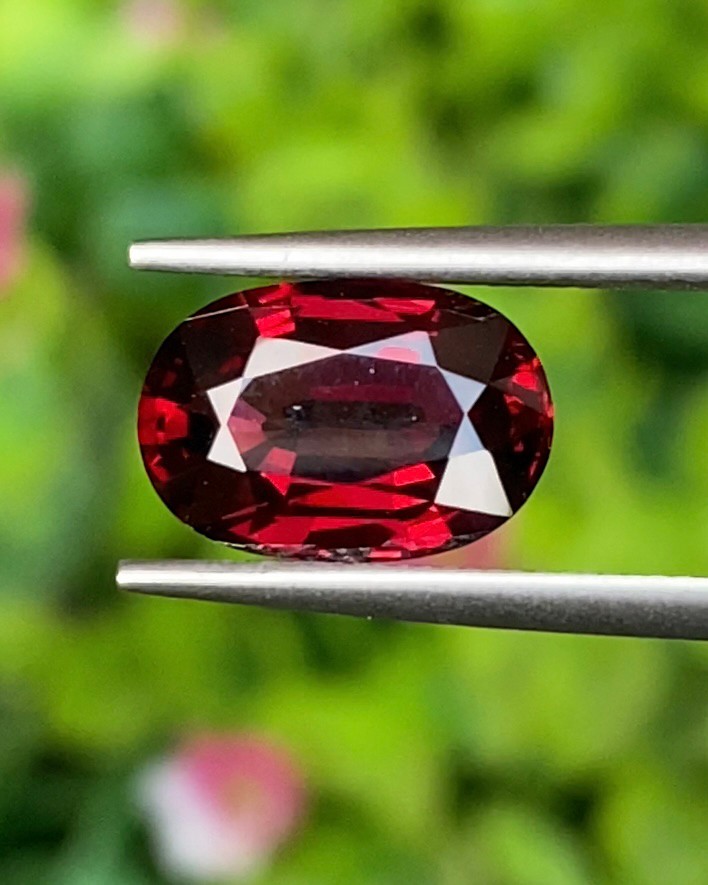 พลอย โรโดไลต์ กาเน็ท Rhodolite Garnet 3.00 กะรัต Cts.พลอยแท้ อัญมณีมงคลประจําวันเกิด เครื่องประดับพลอย
