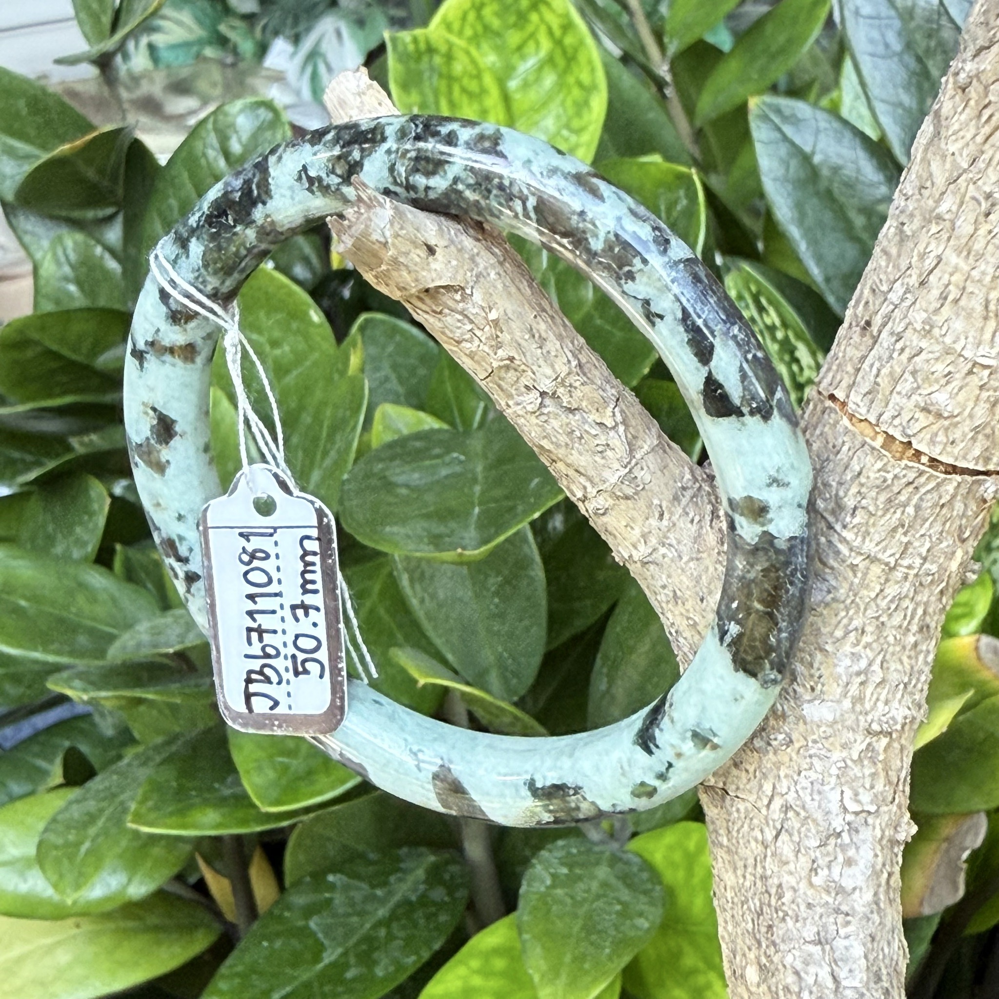 JB6711081 หยก พม่า แท้ Jade กำไลหยก 50.7 มม. (Jadeite bracelet) พม่า (Myanmar)