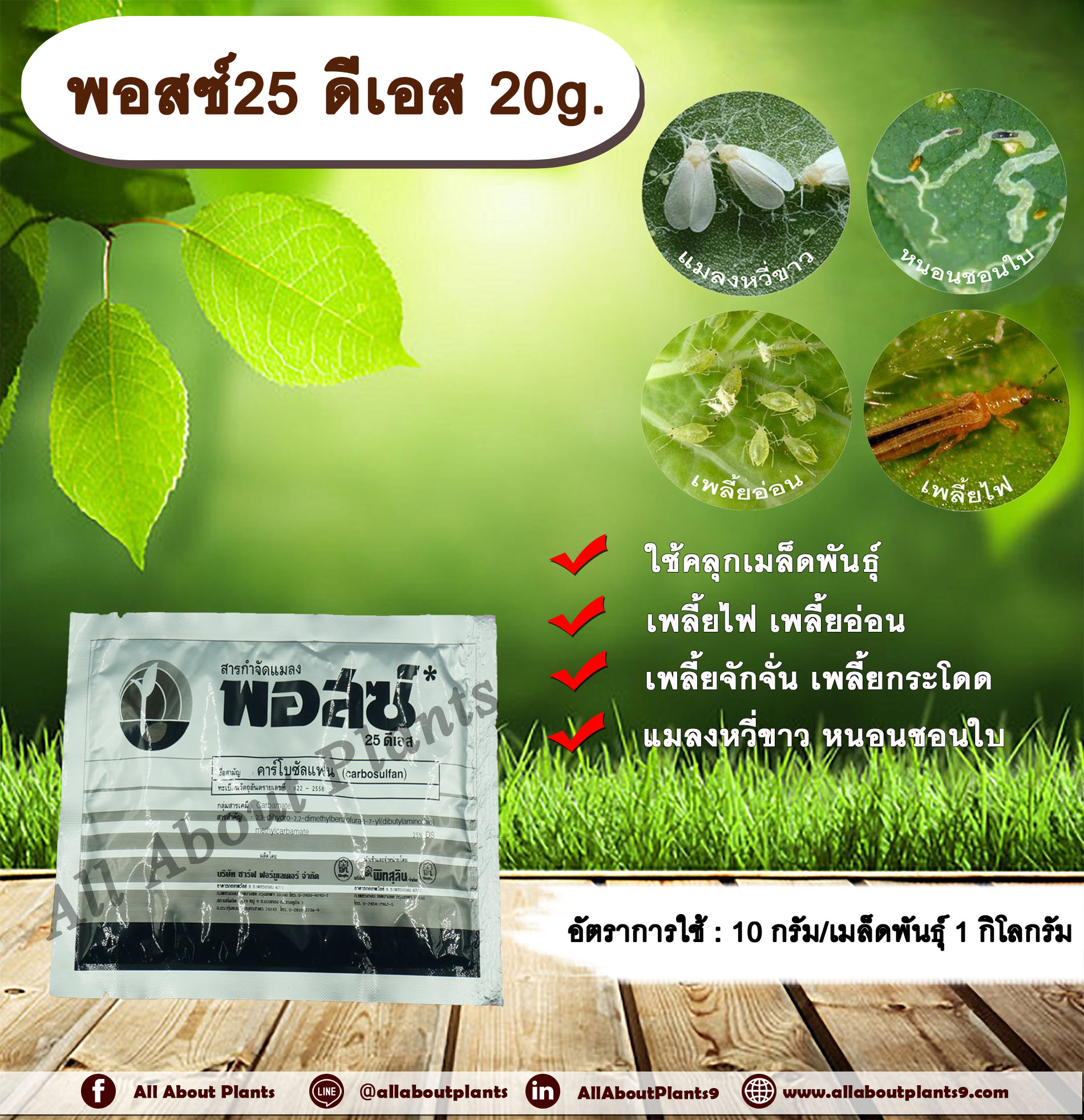 พอสซ์ 25 ดีเอส 20g. คาร์โบซัลแฟน สารกำจัดแมลง คลุกเมล็ดพันธุ์ ป้องกันแมลง เพลี้ย แมลงใต้ดิน ดูดซึม allaboutplants ชิ้น