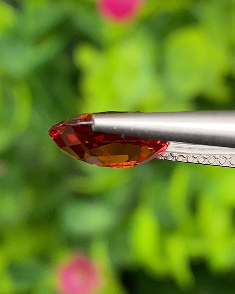 พลอย ทับทิม ซองเจีย Ruby Sapphire 2.66 กะรัต (Cts) พลอยแท้ อัญมณีมงคลประจําวันเกิด เครื่องประดับพลอย