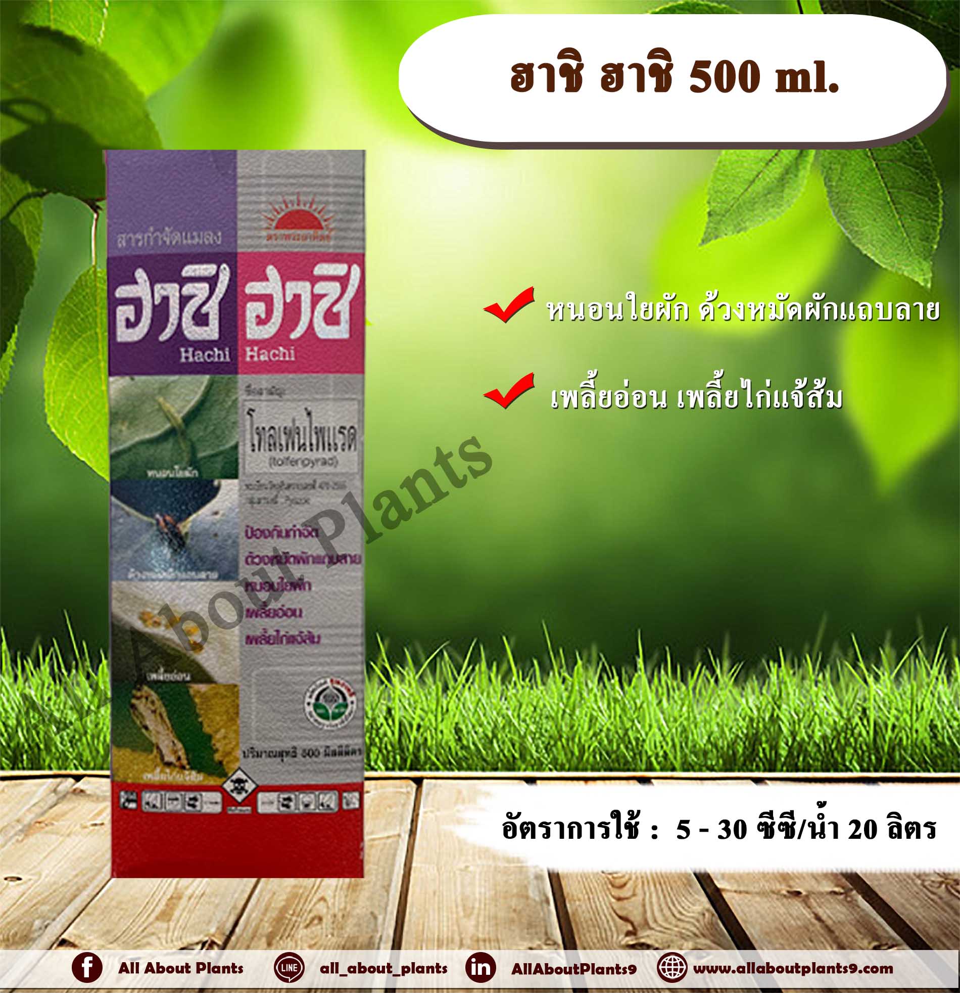 ฮาชิ ฮาชิ 500ml. โทลเฟนไพแรด สารกำจัดแมลง เพลี้ยไฟ เพลี้ยอ่อน เพลี้ยไก่แจ้ส้ม หนอนใยผัก ด้วงหมัดผักแถบลาย ทีเจซี allaboutplants ชิ้น