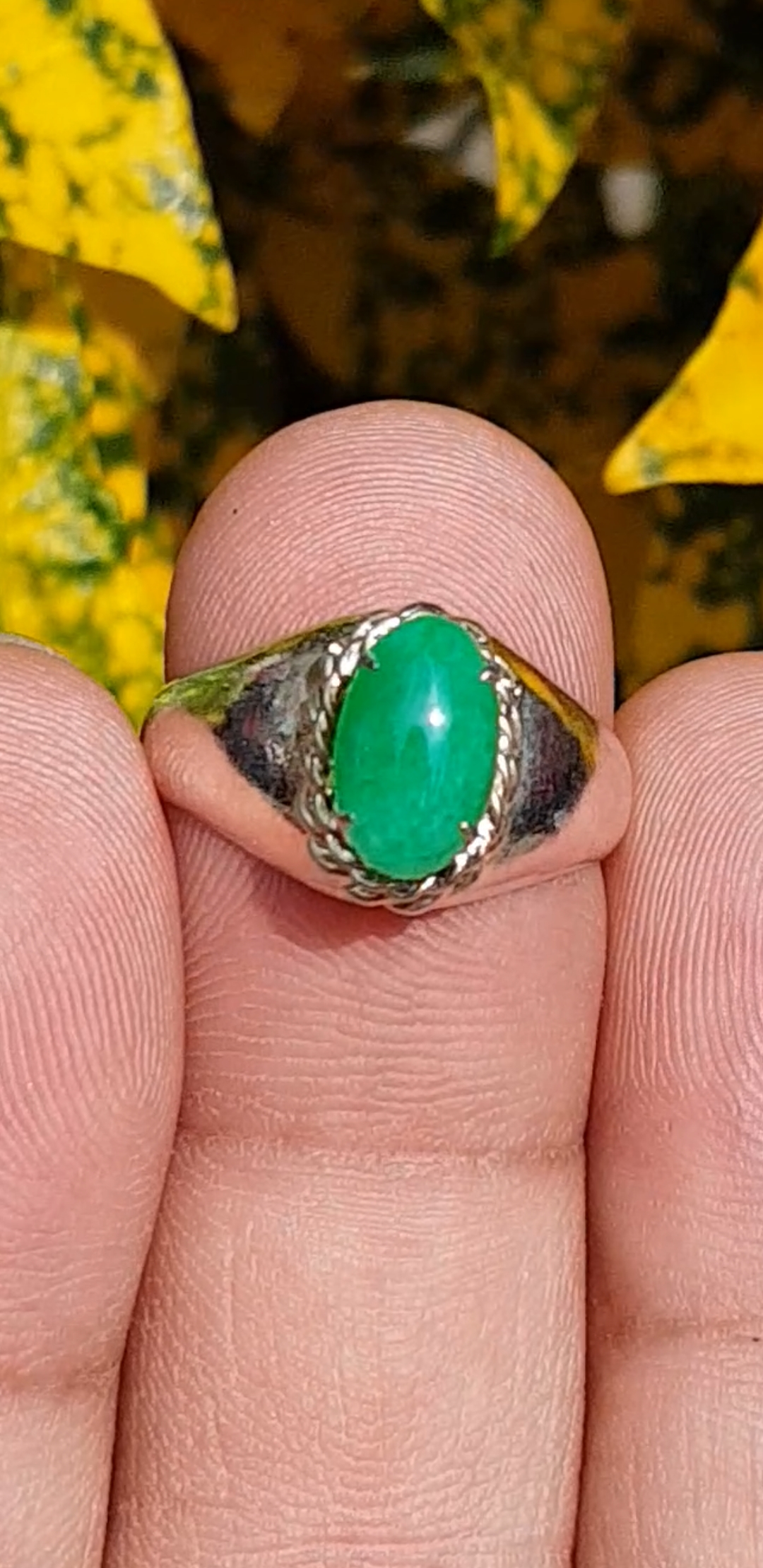หยก พม่า แท้ Jade แหวนหยก 翡翠戒指 (Jadeite ring) 0.79 กะรัต (Cts.) (Size) 54 ดิบ ไม่ผ่านการปรับปรุง (Type A) พม่า (Myanmar)