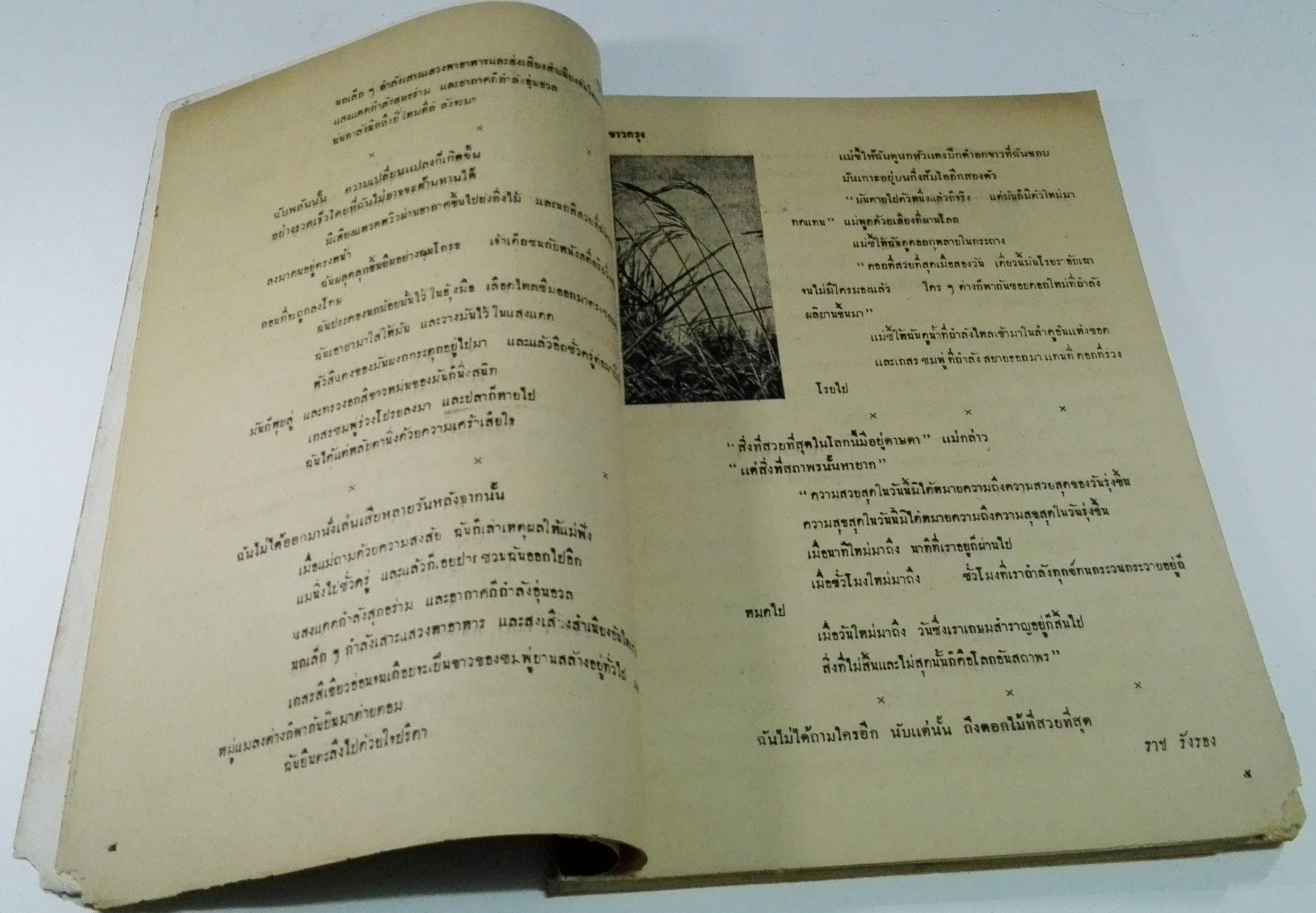 นิตยสารเก่า "ชาวกรุง เดือน กุมภาพันธ์ ปี 2502" **นิตยสารเก่ามีตำหนิ โปรดตรวจสอบทุกภาพ เรื่องเก่าเล่าอดีตที่น่าสนใจ นักเขียนรุ่นเก่าผู้ทรงคุณวุฒิ ภาพถ่ายเก่าพร้อมเรื่องราวบนกระดาษมัน และกระดาษปรู๊ฟเก่า และที่น่าสะสมสำหรับผู้รักลายเส้นการ์ตูนจากฝี