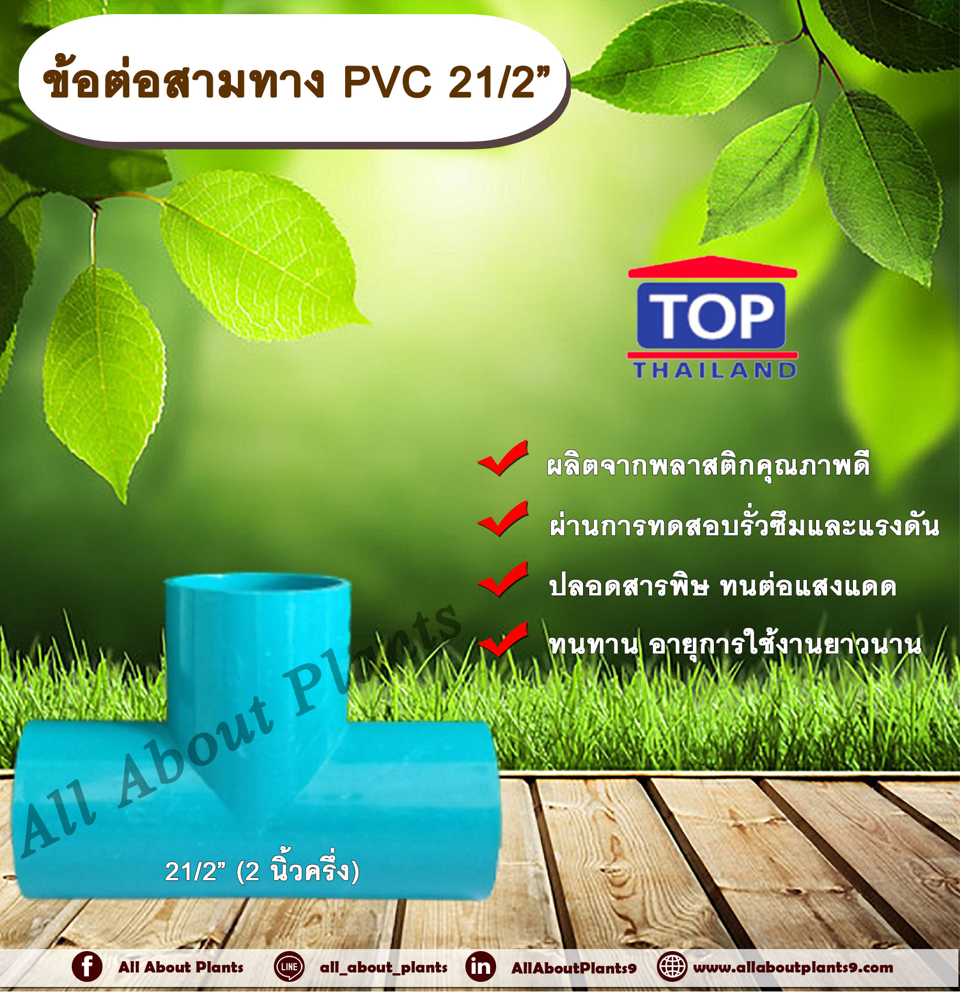 ข้อต่อสามทาง PVC ตรา TOP 21/2”(2นิ้วครึ่ง) ข้อต่อสามทางท่อPVC ขนาด 2นิ้วครึ่ง allaboutplants ชิ้น