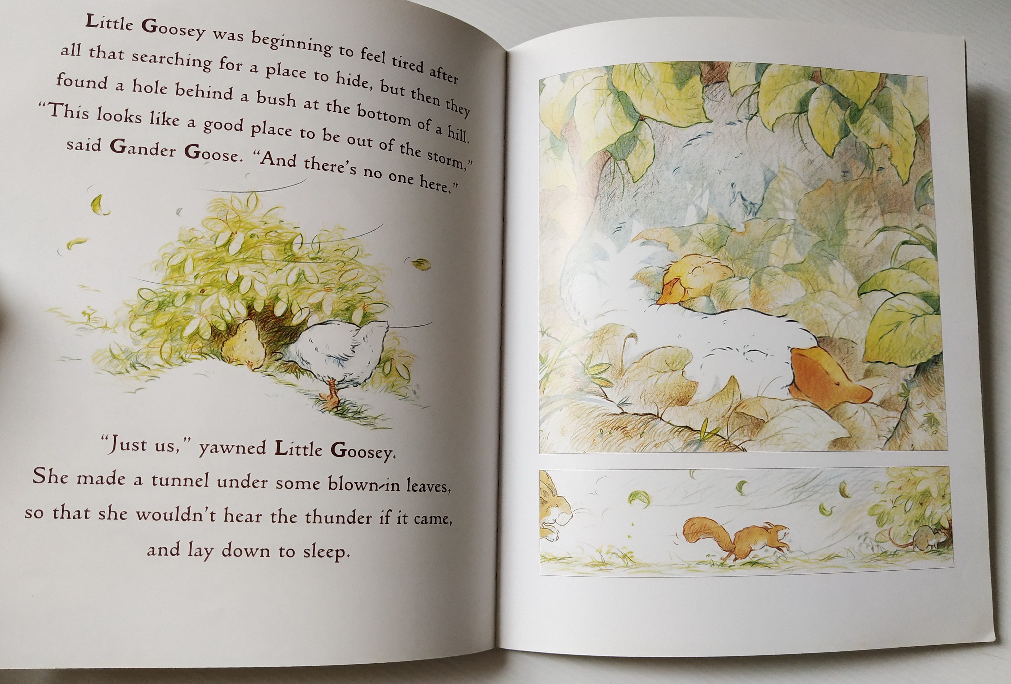 หนังสือนิทานฉบับภาษาอังกฤษ เรื่องราวของครอบครัวห่าน และห่านน้อย จาก SAM MCBRATNEY,"Just You and Me" ภาพโดย Ivan Bates