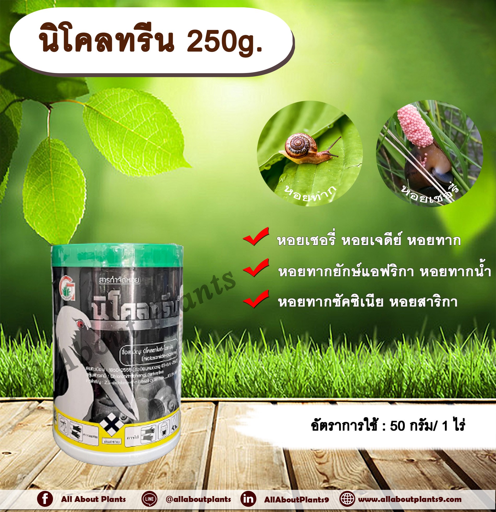 นิโคลทรีน 250g. นิโคซาไมด์-โอลามีน สารกำจัดแมลง สารกำจัดหอย กำจัดหอยเชอรี่ หอยทาก allaboutplants ชิ้น