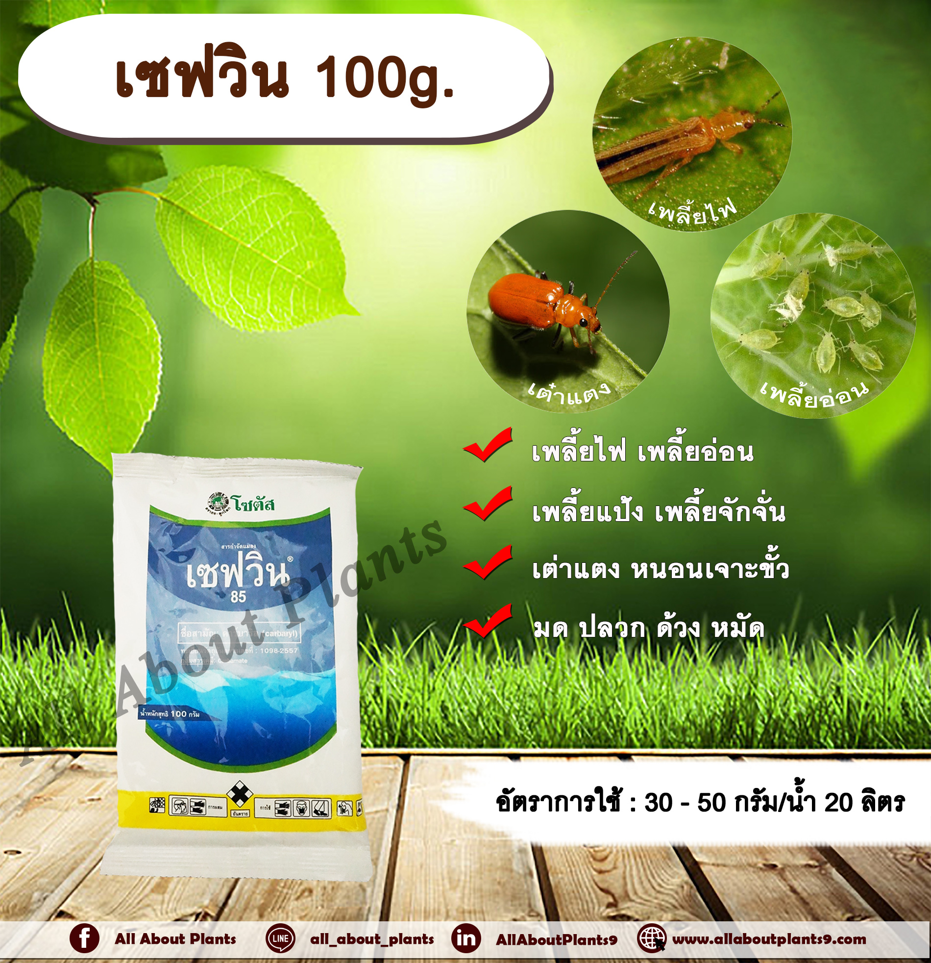 เซฟวิน 100g. คาร์บาริล สารกำจัดแมลง เพลี้ยไฟ เพลี้ยอ่อน เพลี้ยแป้ง เพลี้ยจักจั่น เต่าแตง หนอนเจาะ มด ปลวก ด้วง หมัด allaboutplants ชิ้น