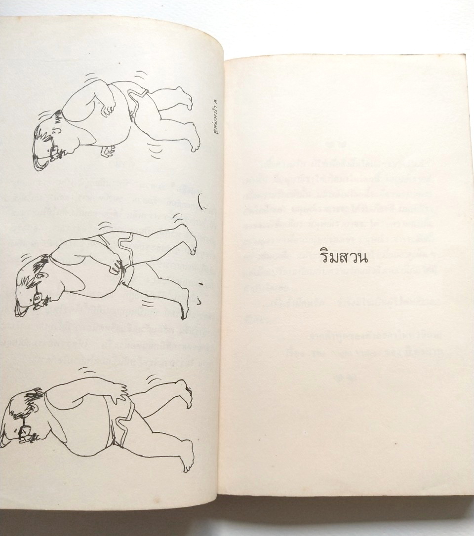 หนังสือเก่า 2529 **มีรอยเขียนชื่อหน้าแรก และมีตำหนิหน้า 199 สันห่าง "ริมสวน2" โดย คนเดิม ปก แม้ทซ์บ๊อกซ์ จากการ์ตูนต้นฉบับของแพ็ท ลลนา