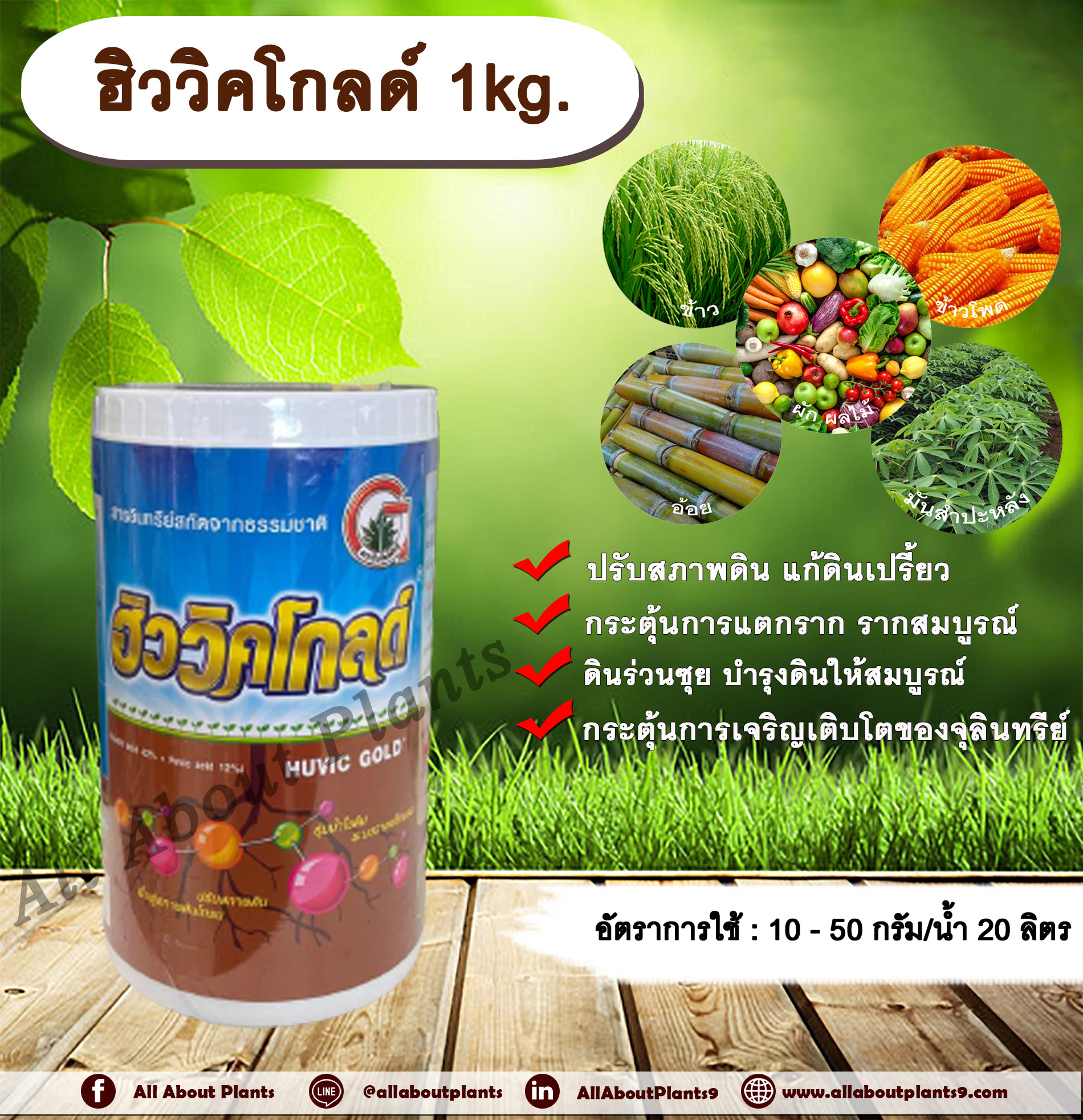 ฮิววิคโกลด์ 1kg. ฮิวมิกแอซิด ฟูวิคแอซิด ปรับสภาพดิน แก้ดินเปรี้ยว กระตุ้นการแตกราก รากสมบูรณ์ ดินร่วนซุย บำรุงดินให้สมบูรณ์ กระตุ้นการเจริญเติบโตของจุลินทรีย์ เป็นอาหารพืชและสารคีเลท ช่วยอุ้มน้ำในดิน allaboutplants ชิ้น