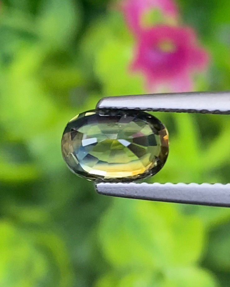 พลอย ลักษณะพิเศษ 2 สี Spacific Bi-Color Sapphire 1.41 กะรัต (Cts.) พร้อมใบเซอร์ พลอยแท้ อัญมณีมงคลประจําวันเกิด เครื่องประดับพลอย