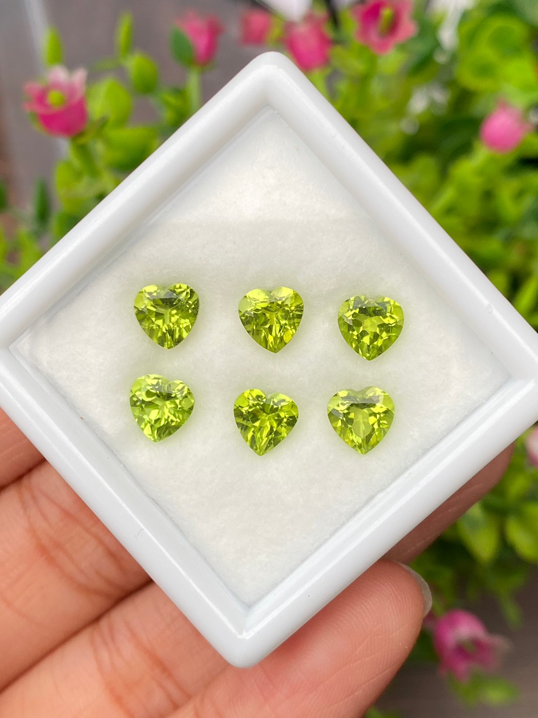 พลอย เพอริดอต Peridot 5.50 กะรัต (Cts.) 6 เม็ด (pcs.) พลอยแท้ อัญมณีมงคลประจําวันเกิด เครื่องประดับพลอย