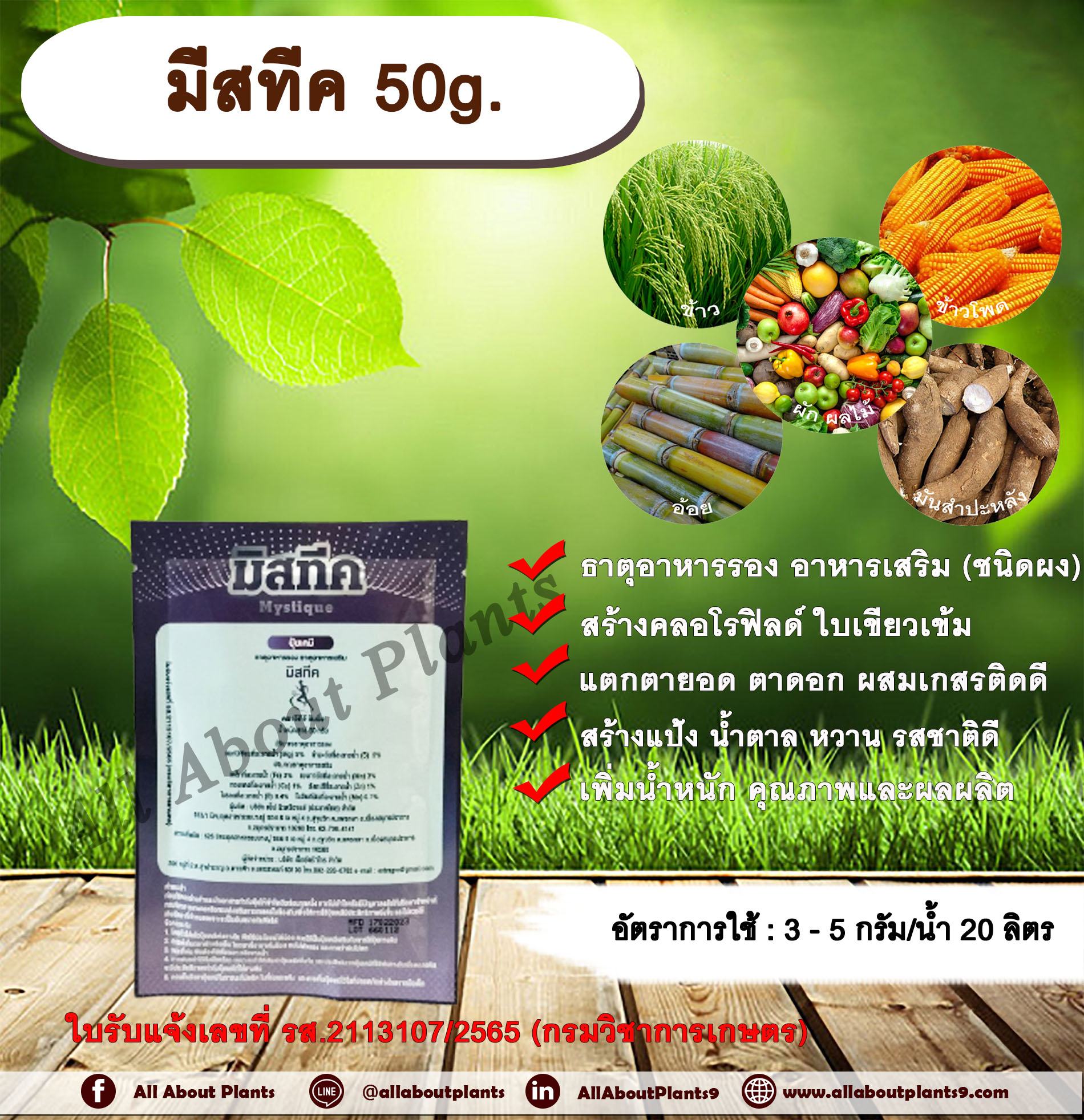 มีสทีค 50g. ธาตุอาหารรอง ธาตุอาหารเสริม ใบเขียว สร้างคลอโรฟิลด์ แตกตายอด แตกตาดอก ผสมเกสรติดดี สร้างแป้ง สร้างน้ำตาล หวาน รสชาติดี เพิ่มน้ำหนัก เพิ่มคุณภาพ เพิ่มผลผลิต ป้องกันเมล็ดลีบ ธาตุอาหารพืช allaboutplants ชิ้น