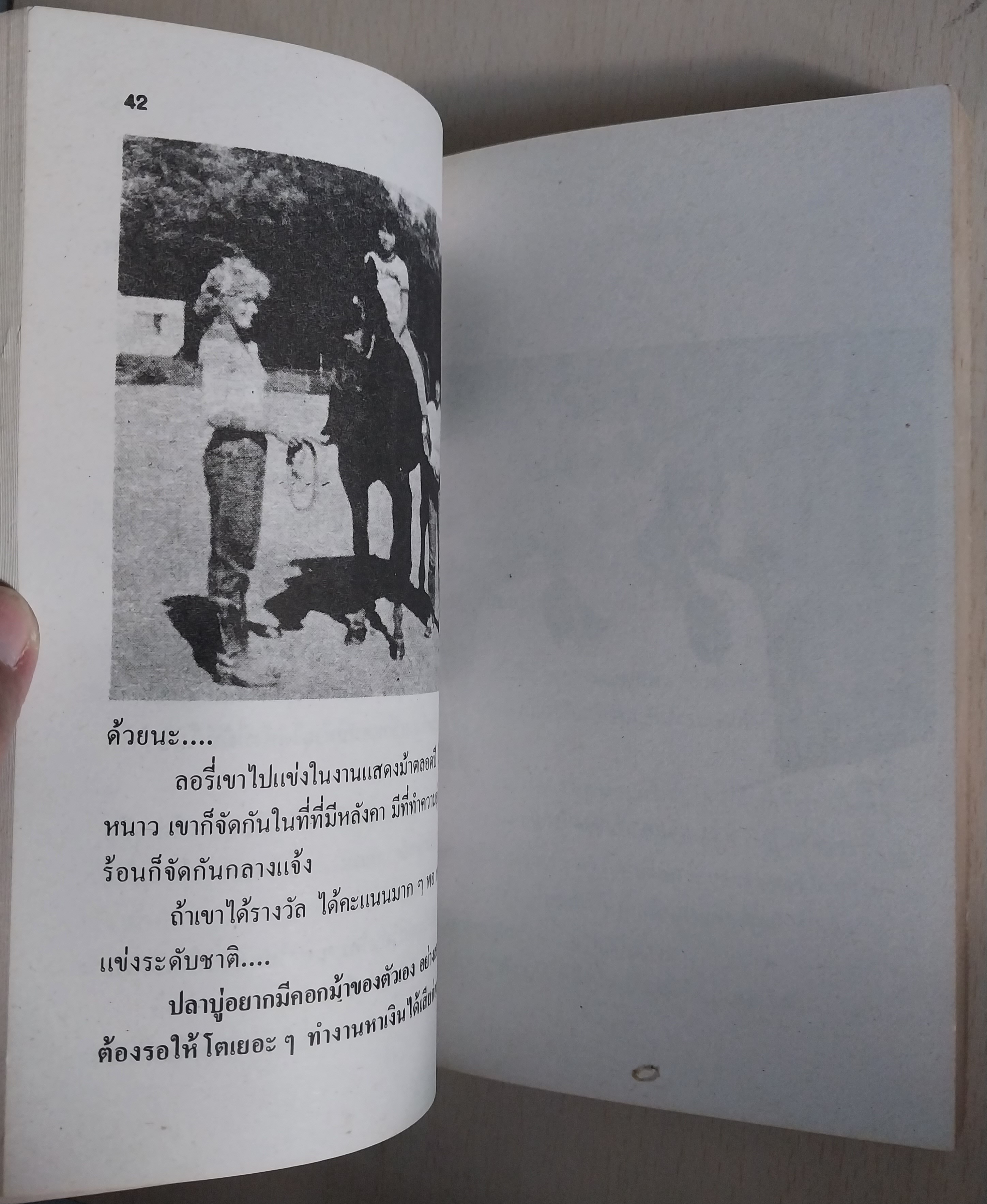 มีหลายภาพ หนังสือนิยาย เรื่อง บันทึกของปลาบู่ โดย โสภาค สุวรรณ**หน้าแรกมีรอยดินสอเขียนที่ด้านบน หนังสือมีรอยเก่า