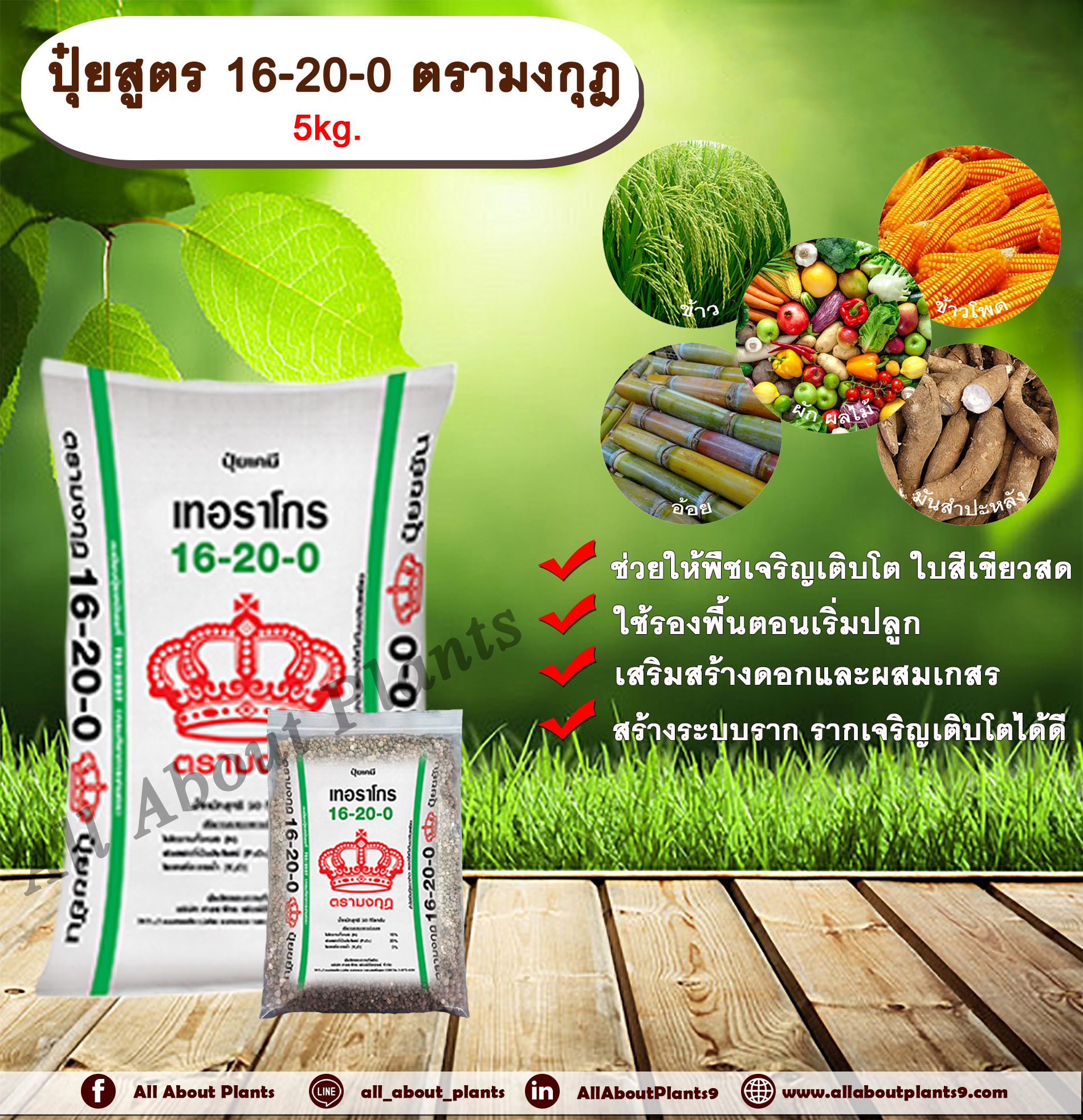 ปุ๋ยสูตร 16-20-0 ตรามงกุฎ 5kg. ช่วยให้พืชเจริญเติบโต ใบสีเขียวสด ปุ๋ยรองพื้น เสริมสร้างดอก สร้างระบบราก ปุ๋ยใส่ดิน NPK allaboutplants ชิ้น